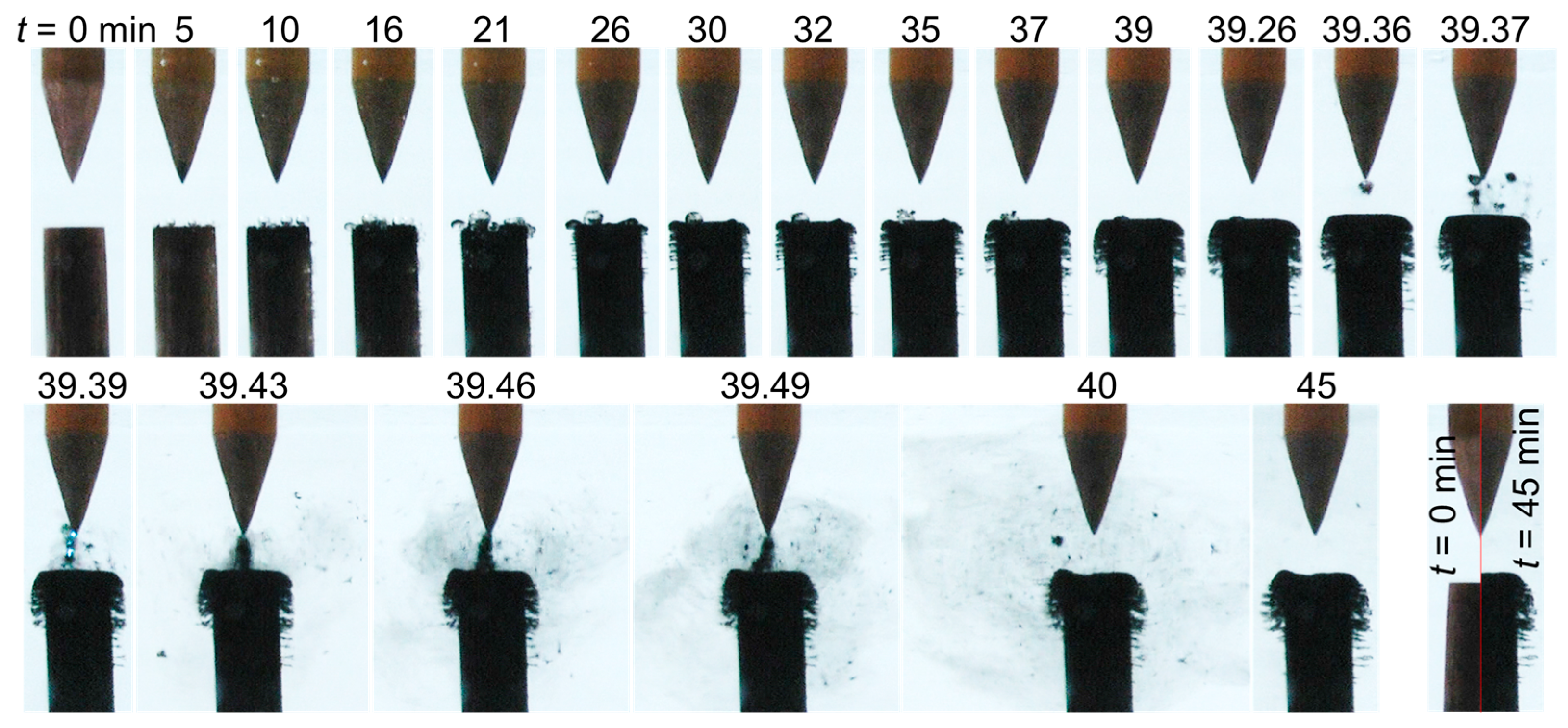 Nanomaterials 10 01347 g005