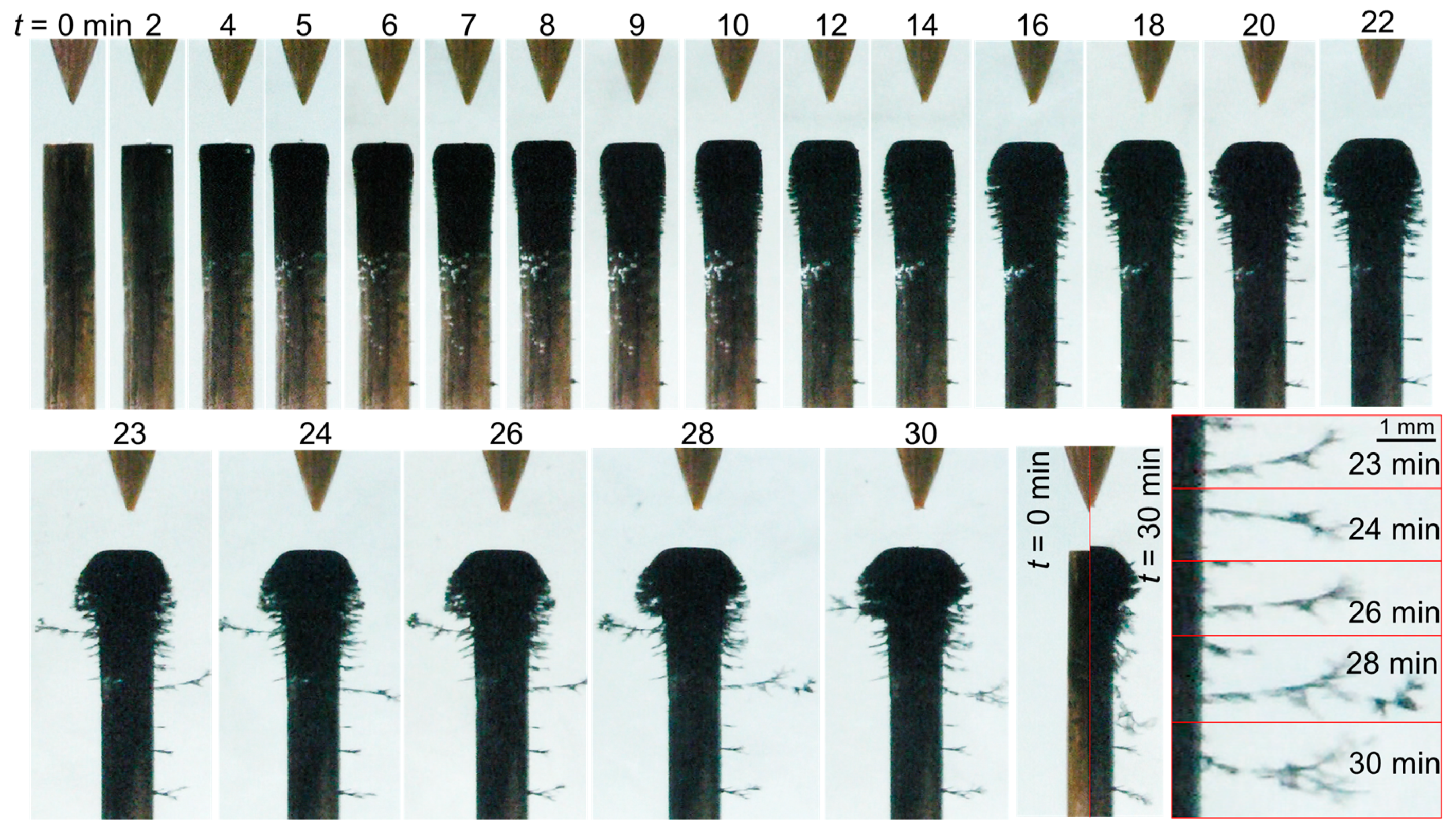 Nanomaterials 10 01347 g006
