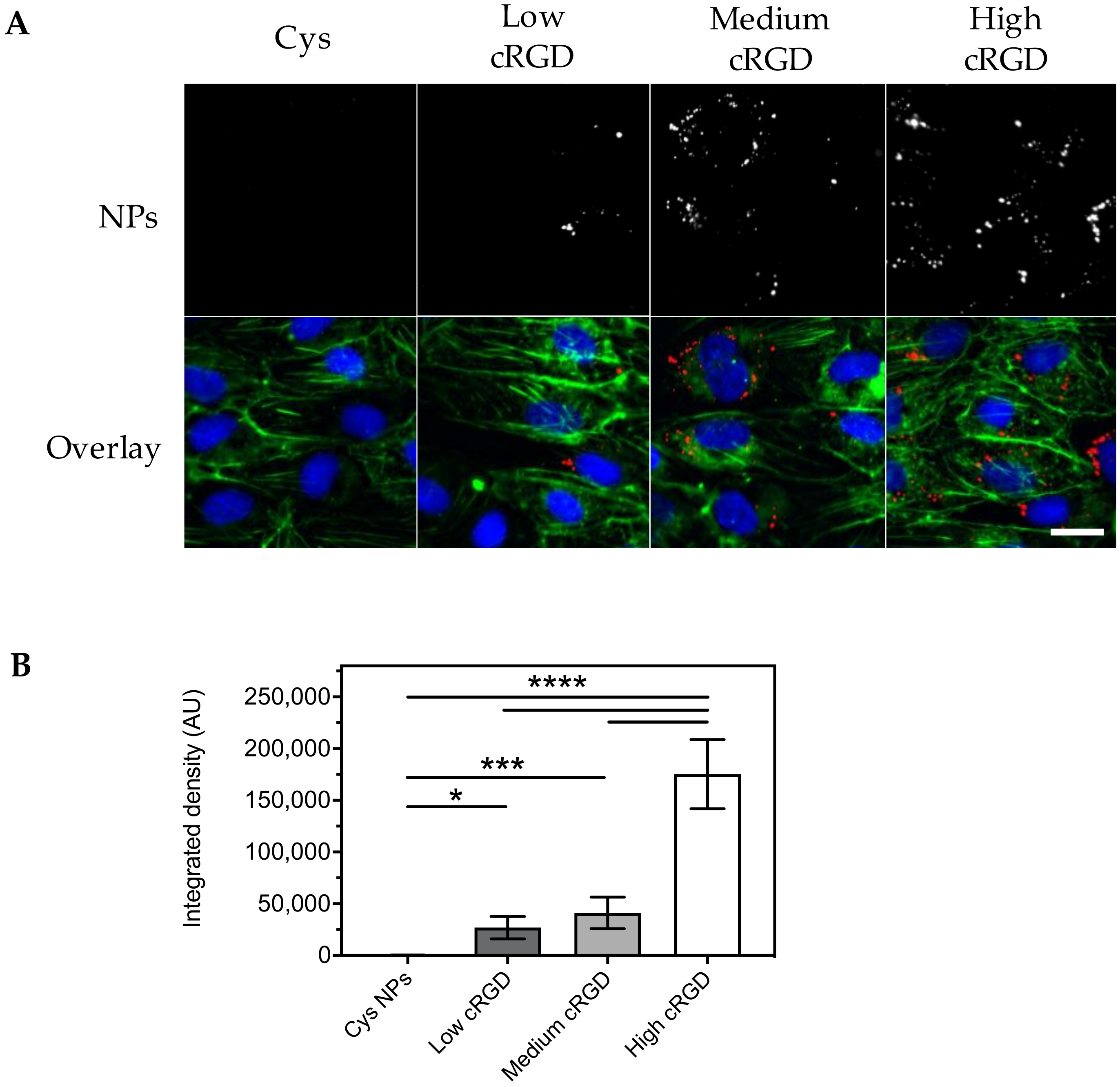 Nanomaterials 10 01353 g004