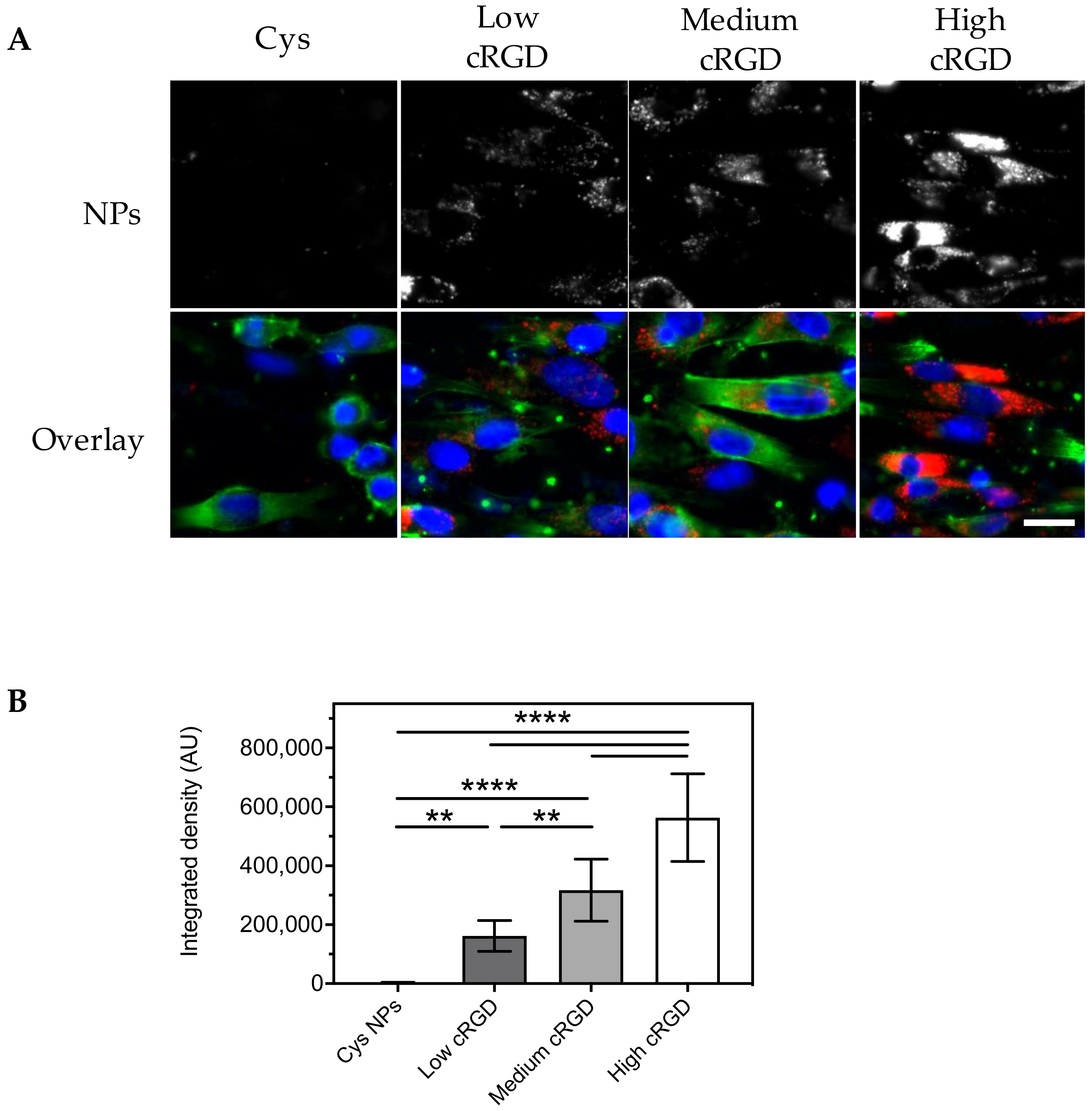 Nanomaterials 10 01353 g006