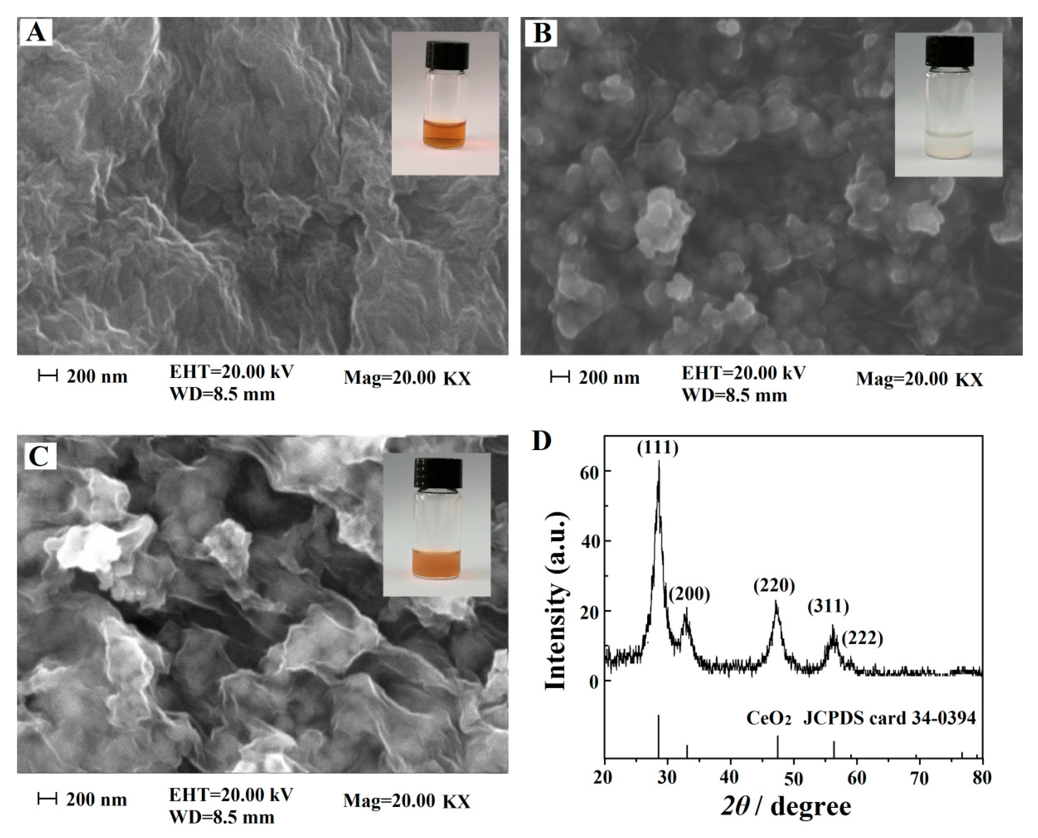 Nanomaterials 10 01356 g001