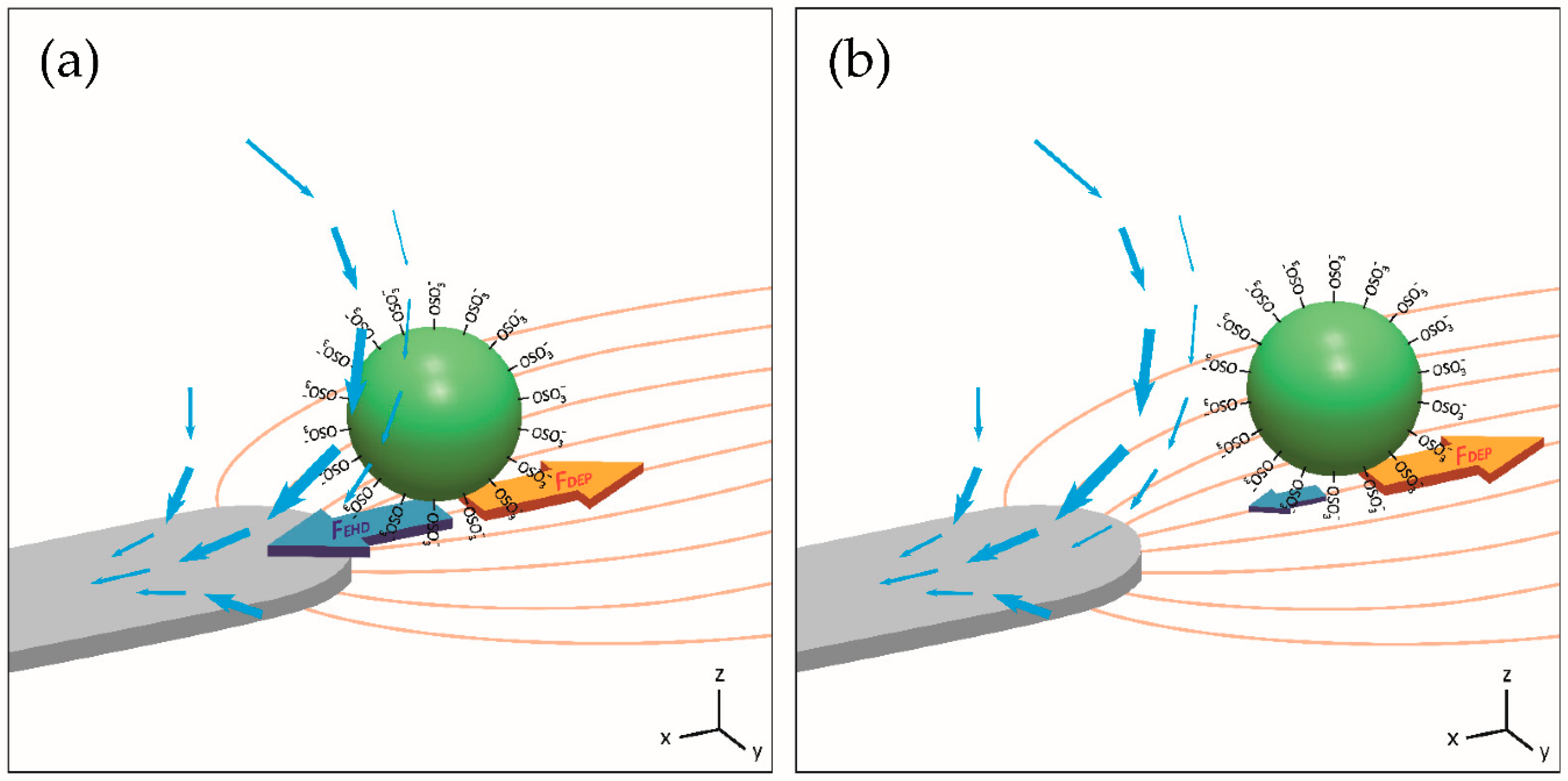 Nanomaterials 10 01364 g001 Nanomaterials 10 01364 g001