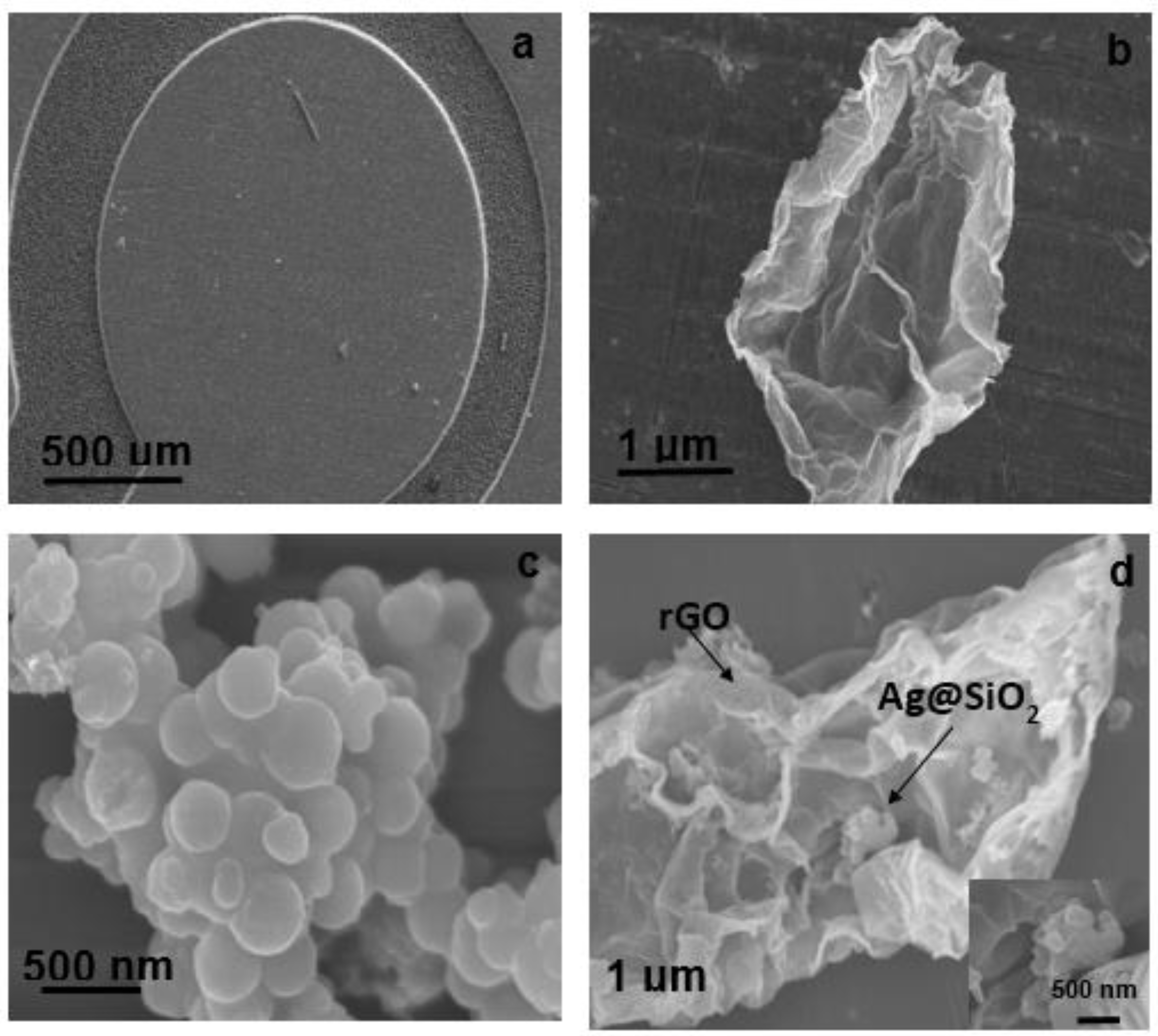 Nanomaterials 10 01368 g001
