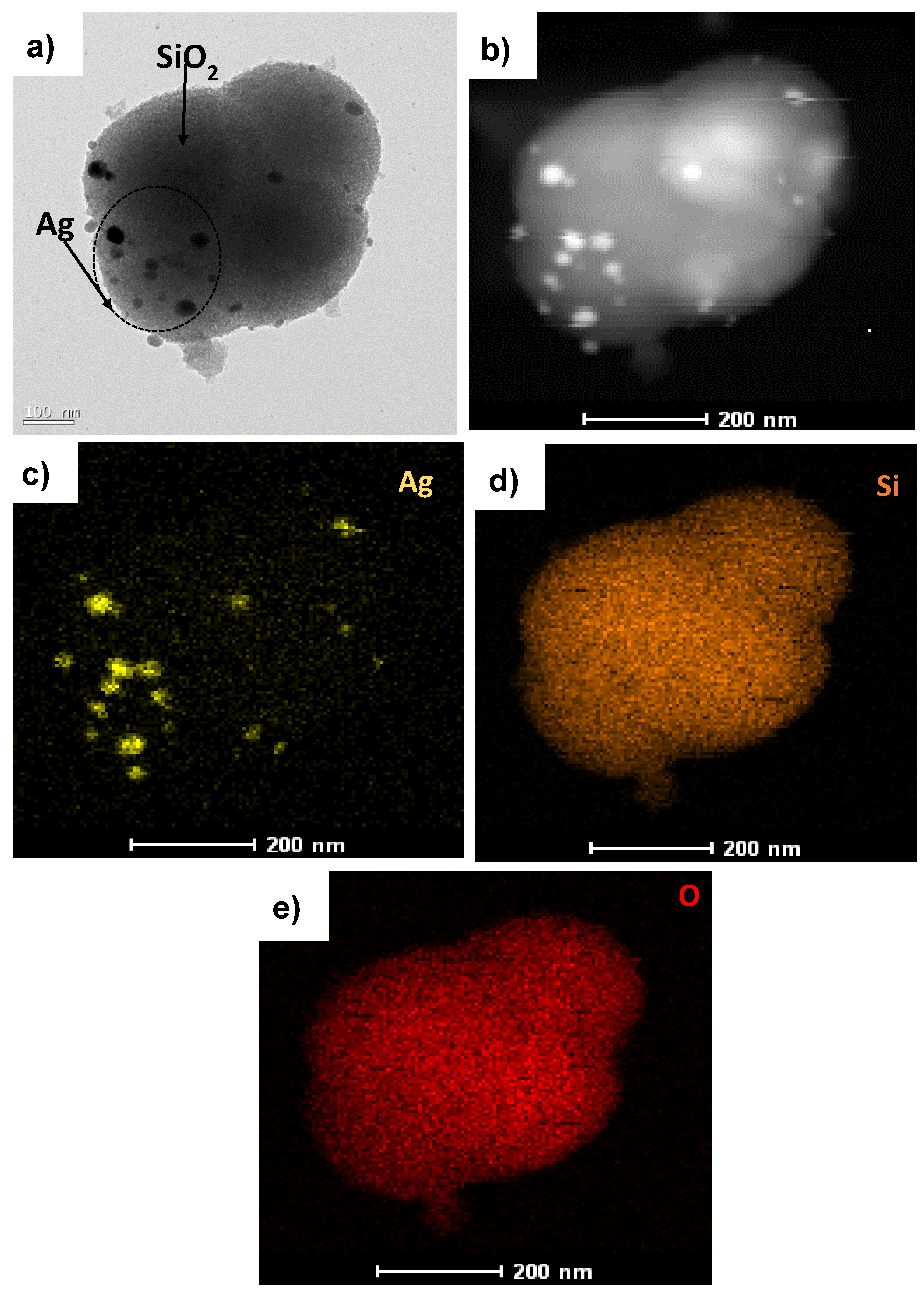 Nanomaterials 10 01368 g002
