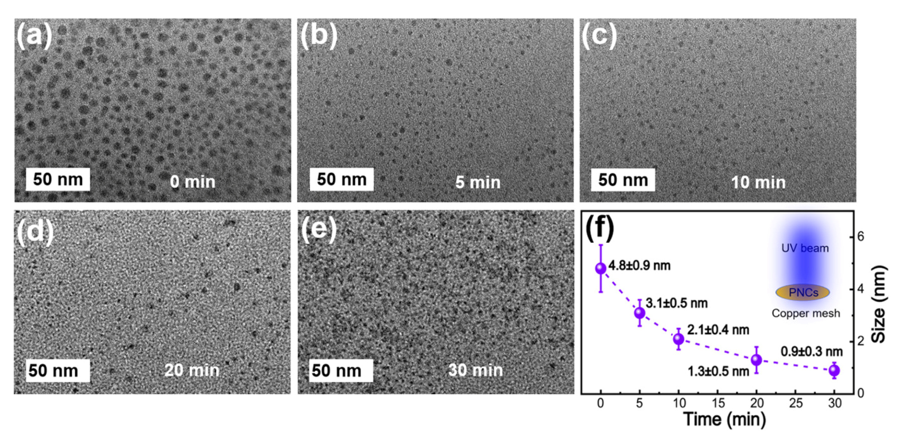 Nanomaterials 10 01375 g014 Nanomaterials 10 01375 g014