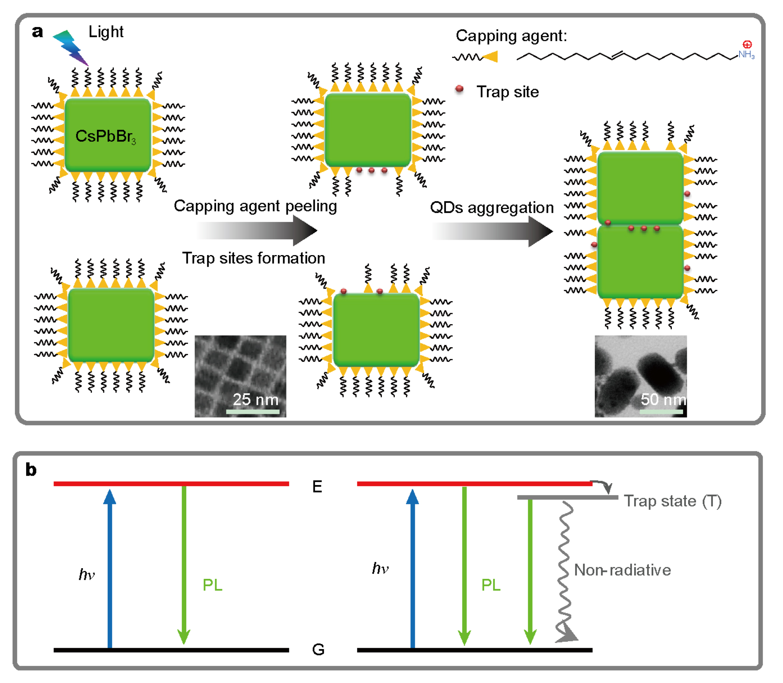 Nanomaterials 10 01375 g019 Nanomaterials 10 01375 g019