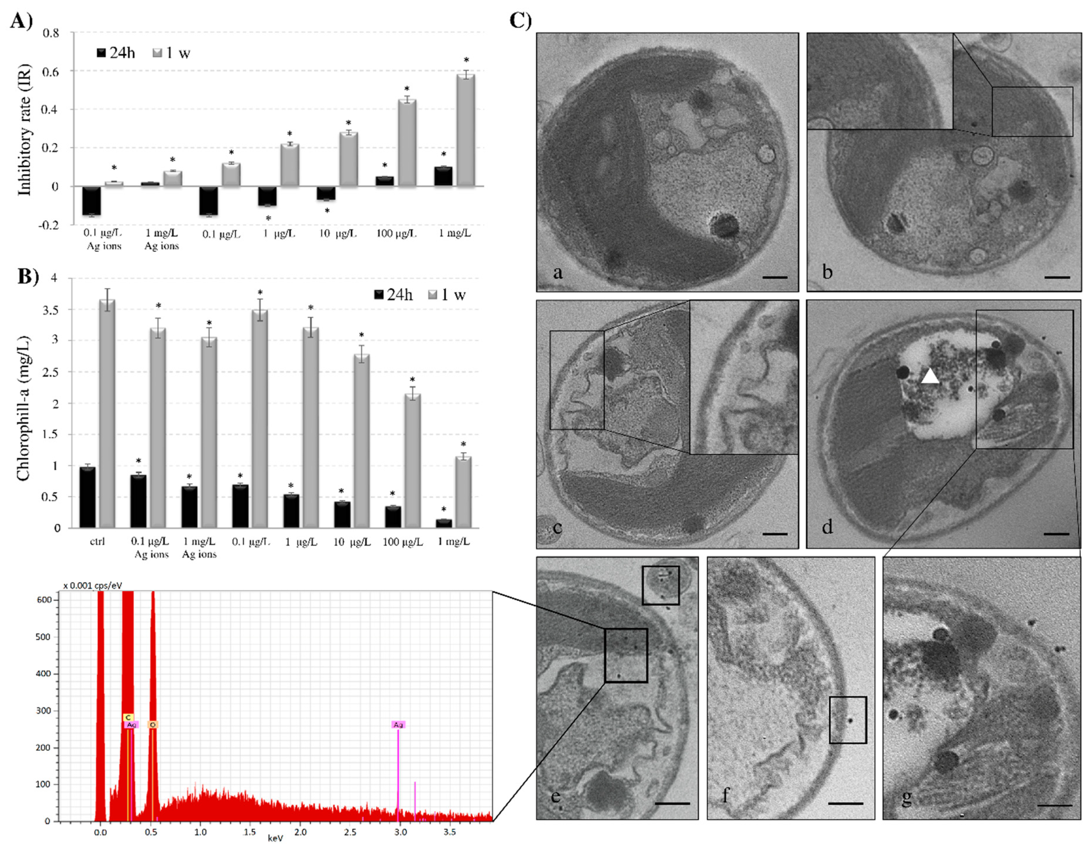 Nanomaterials 10 01377 g003 Nanomaterials 10 01377 g003