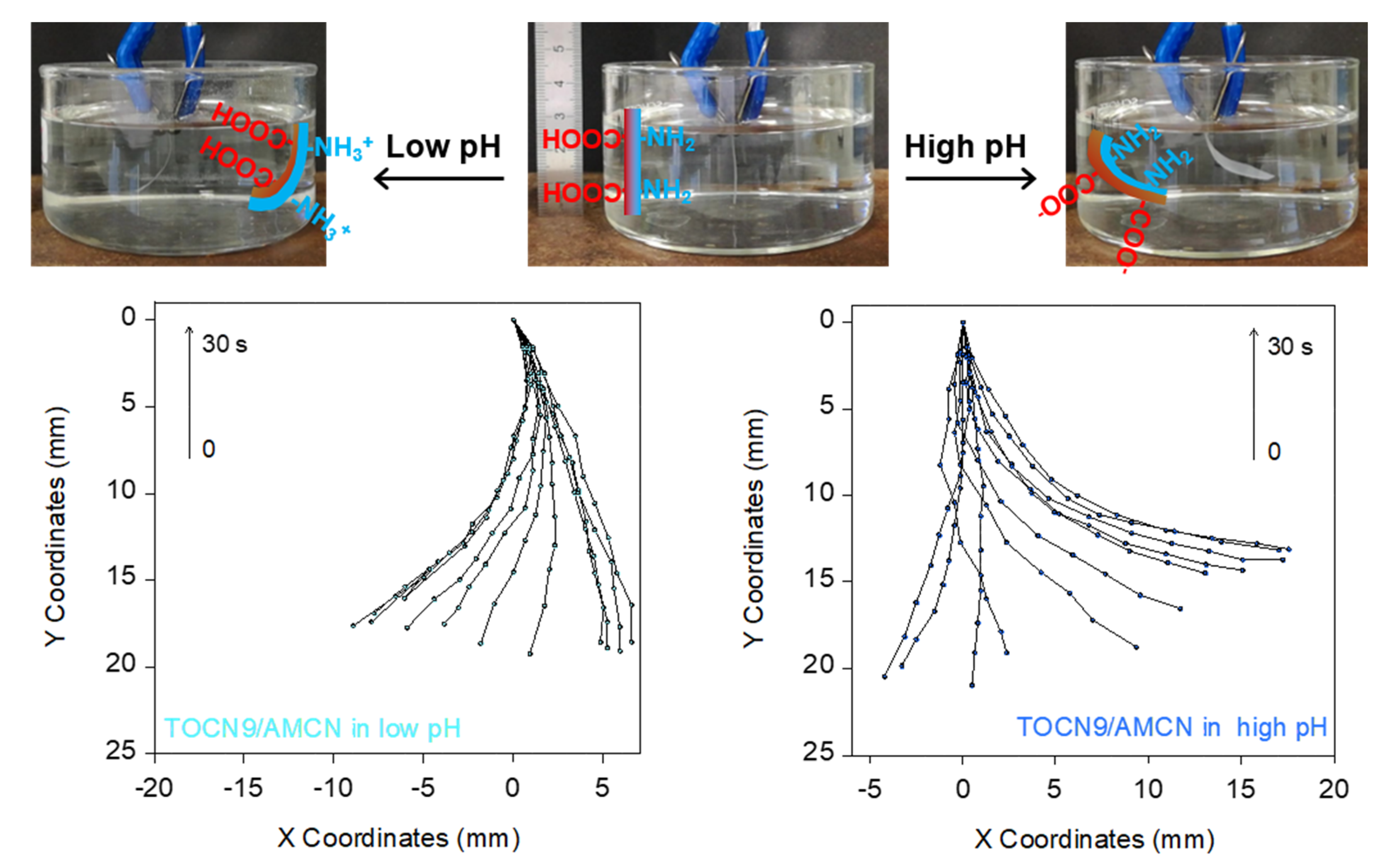 Nanomaterials 10 01380 g007 Nanomaterials 10 01380 g007