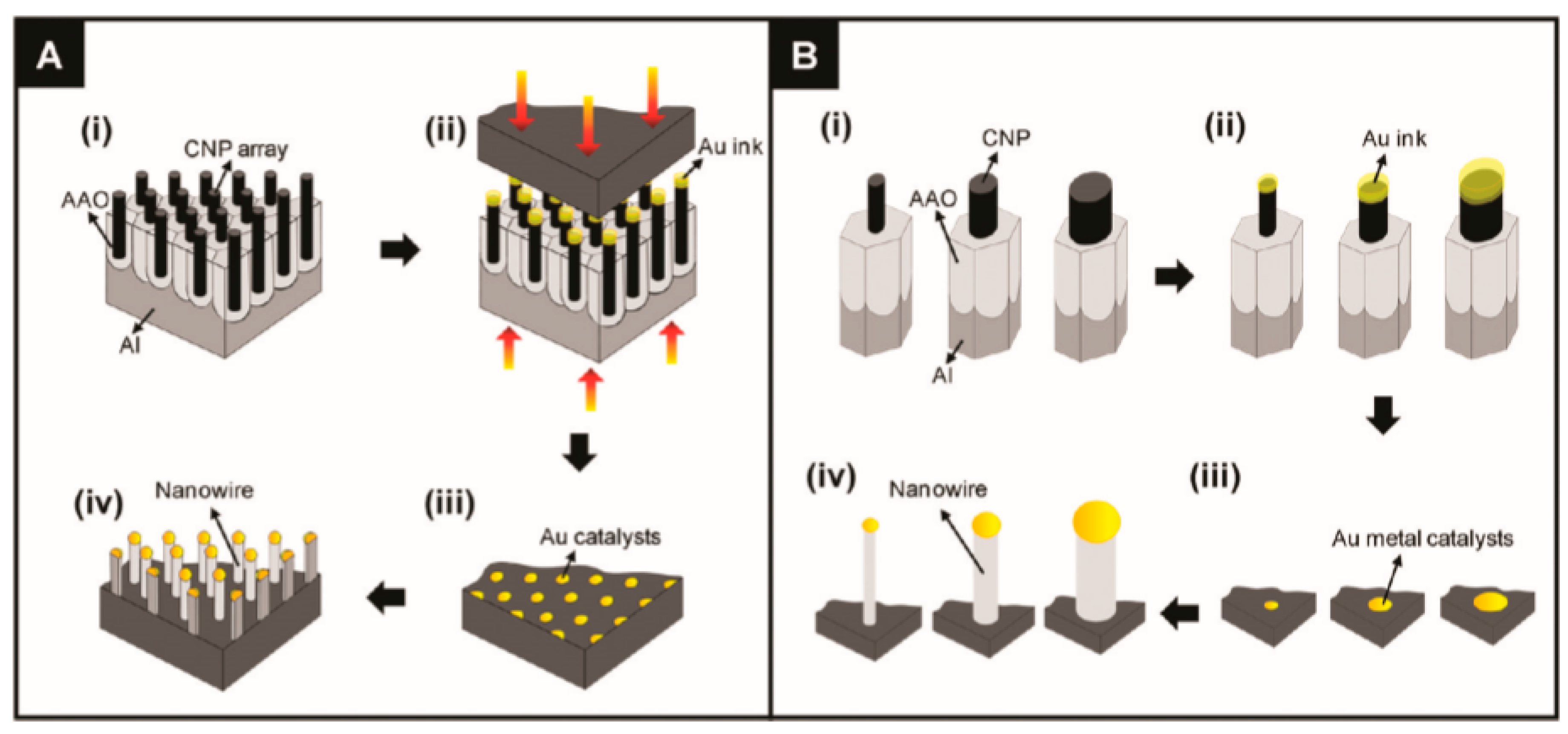 Nanomaterials 10 01392 g003