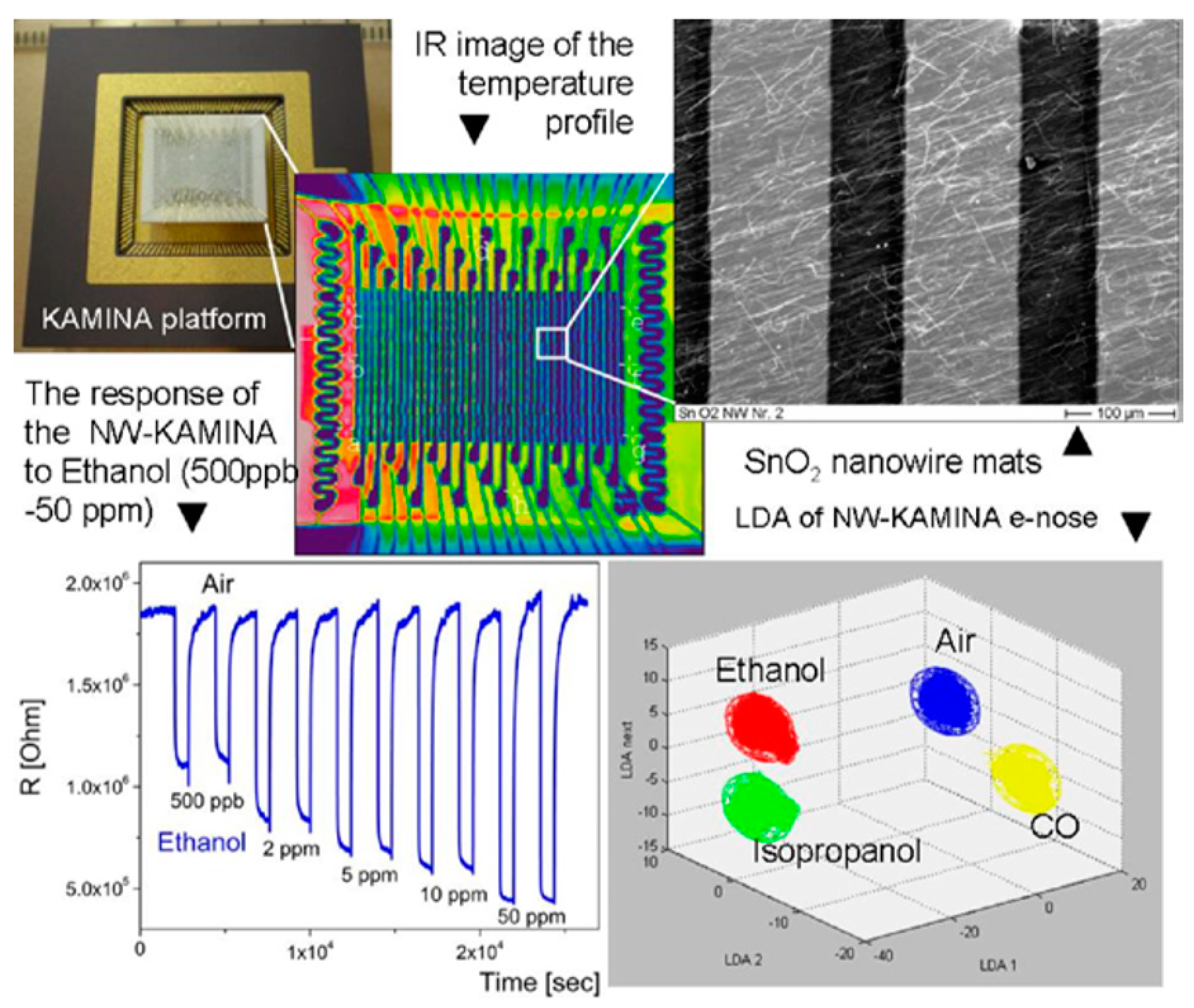 Nanomaterials 10 01392 g010