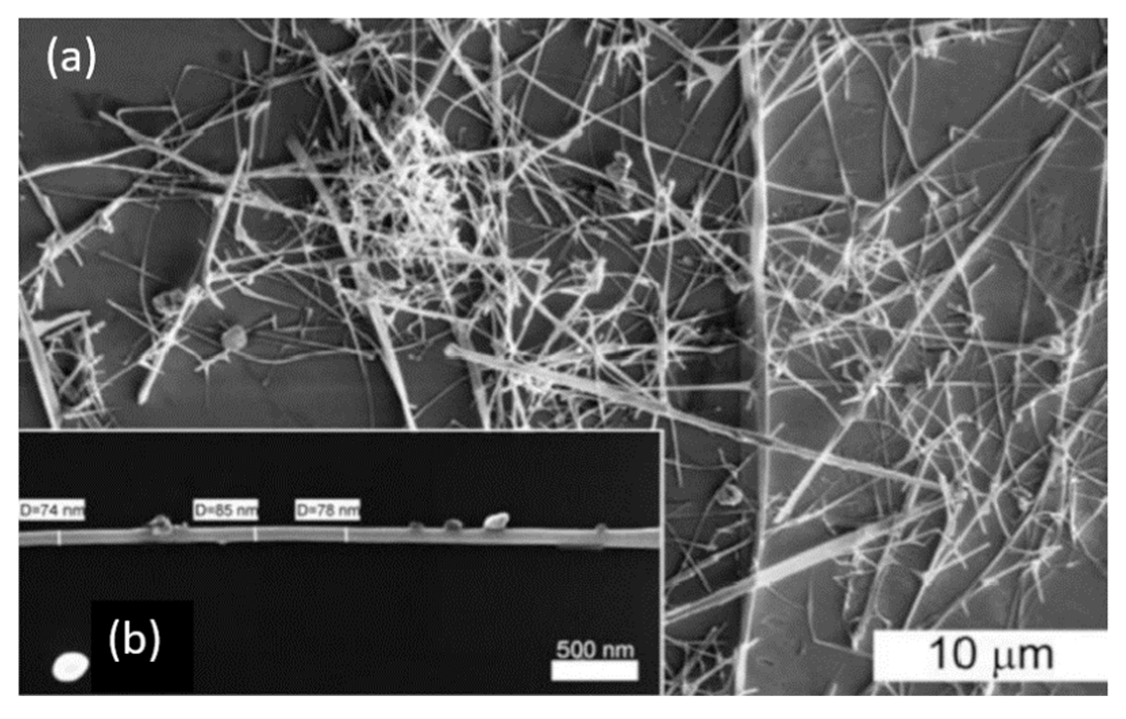 Nanomaterials 10 01392 g022