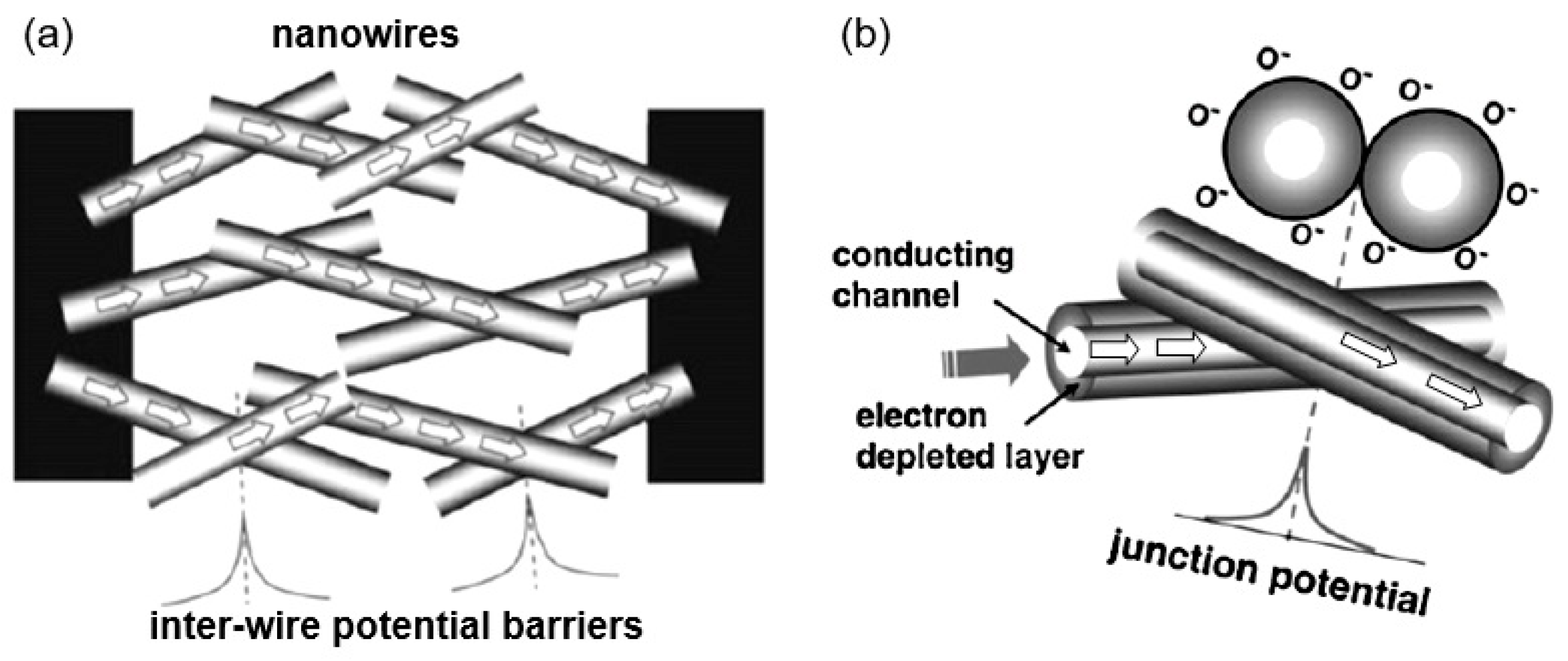 Nanomaterials 10 01392 g023