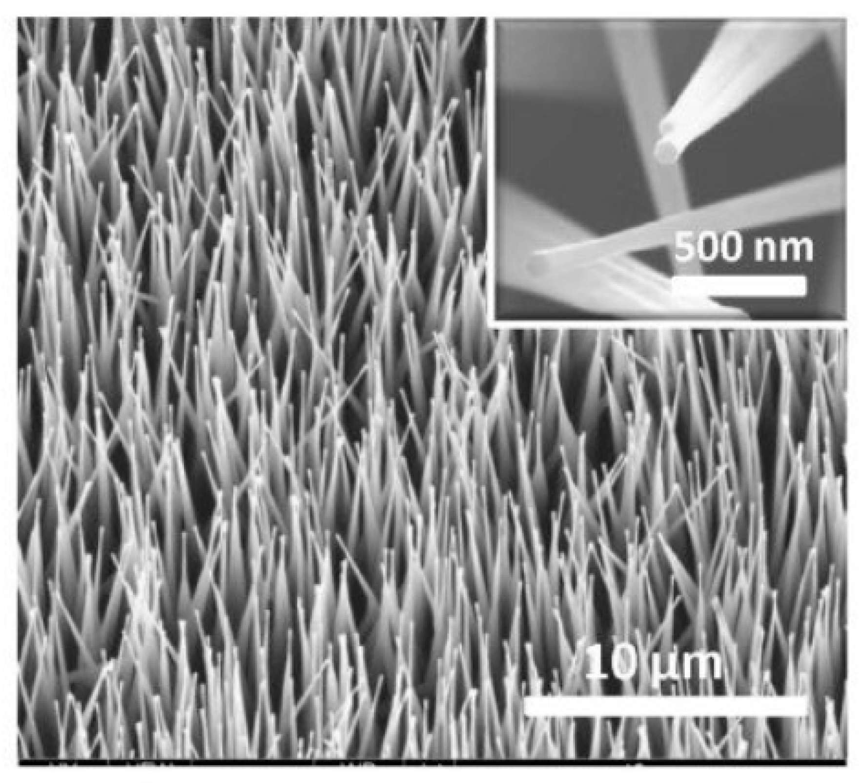 Nanomaterials 10 01392 g026