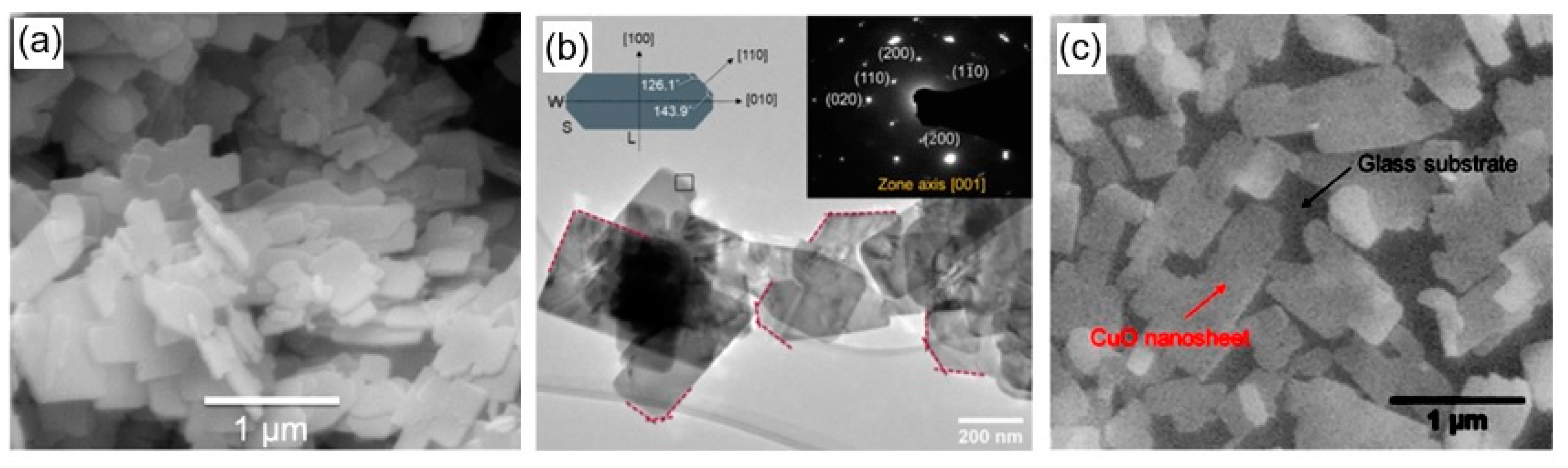 Nanomaterials 10 01392 g047