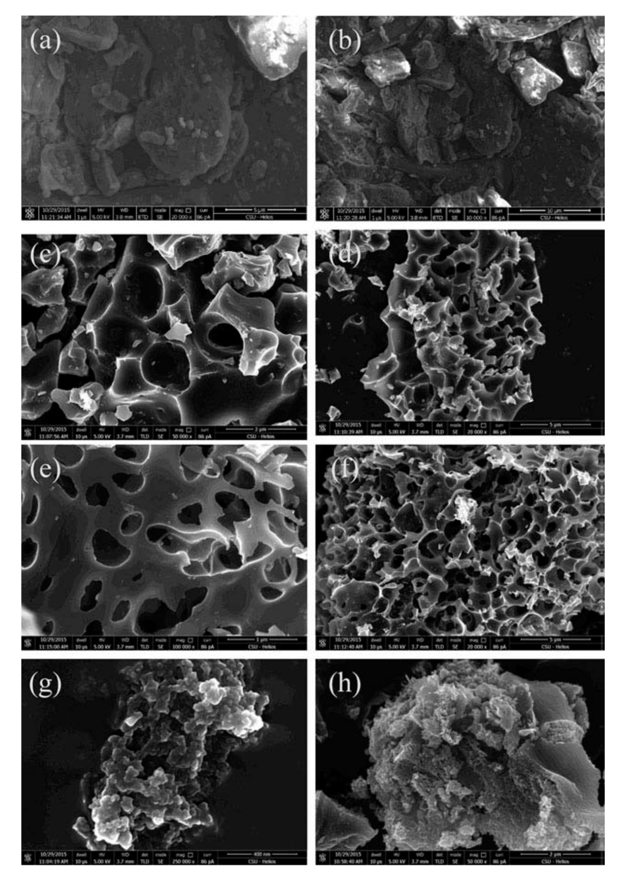 Nanomaterials 10 01398 g003