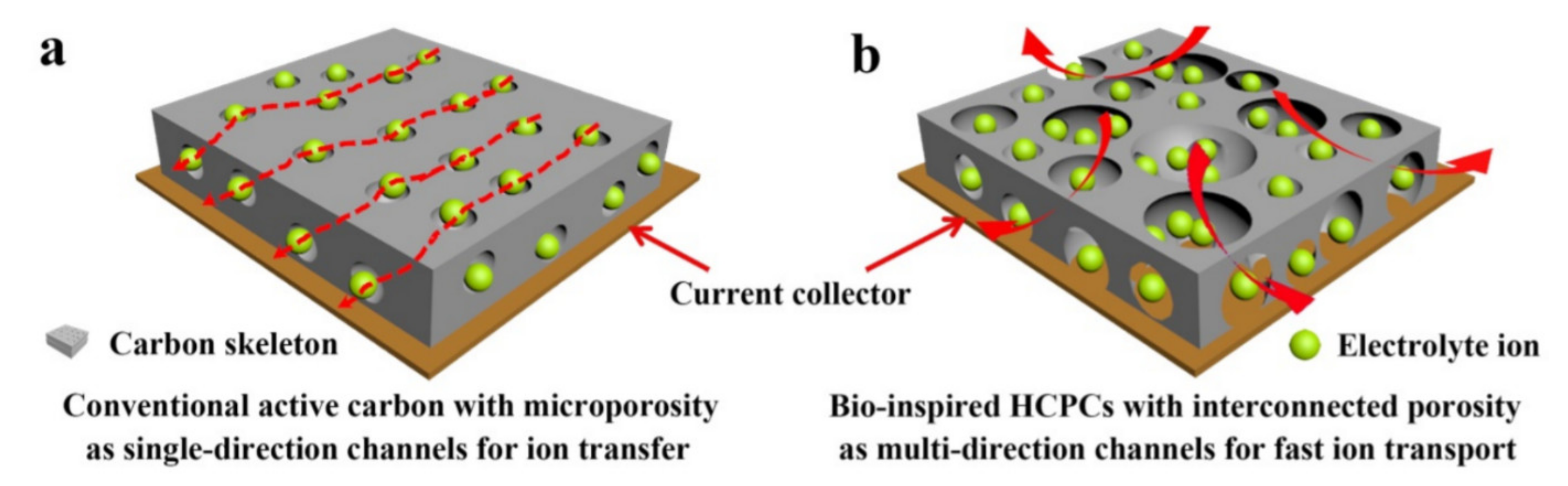 Nanomaterials 10 01398 g005