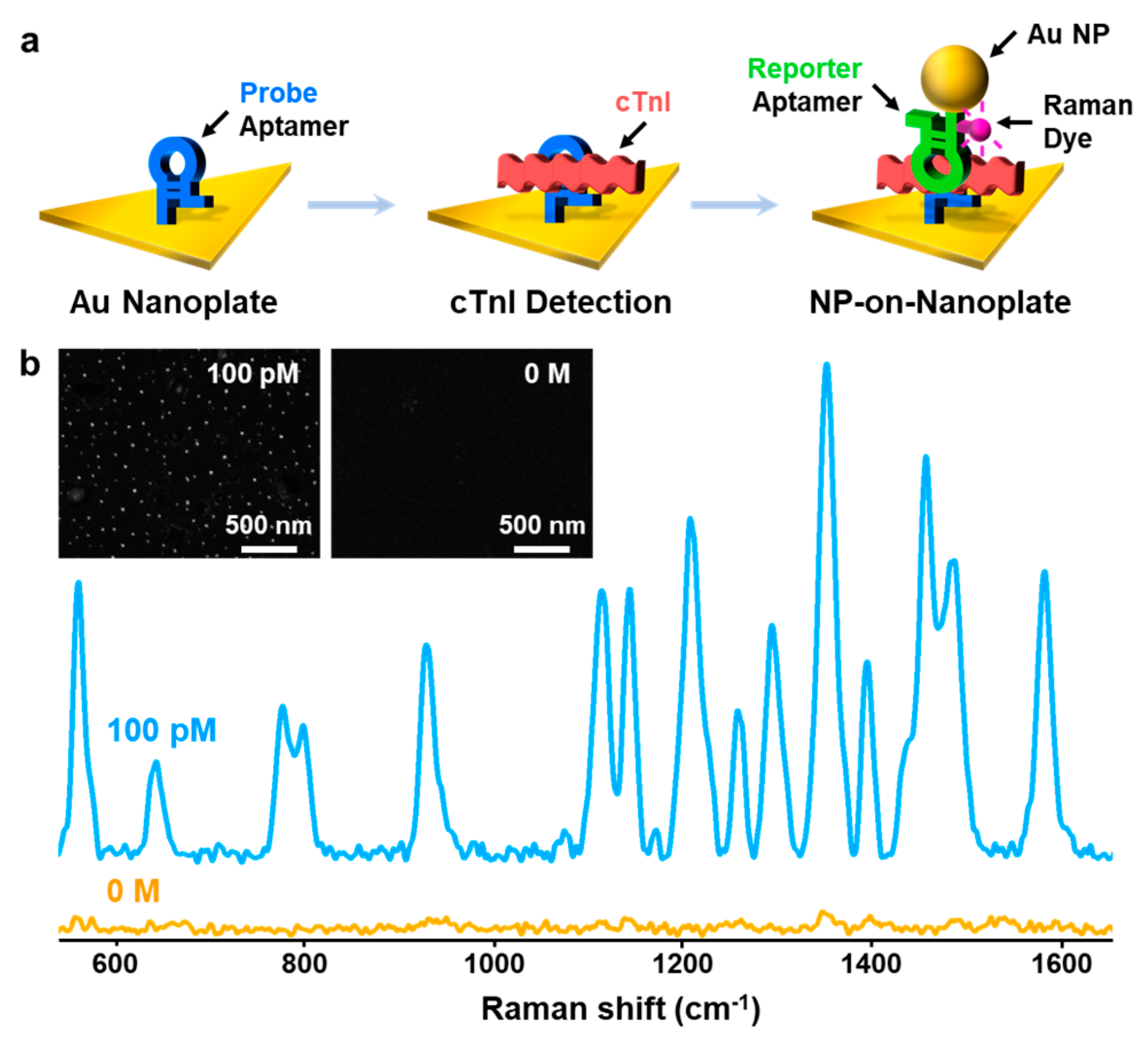 Nanomaterials 10 01402 g001 Nanomaterials 10 01402 g001