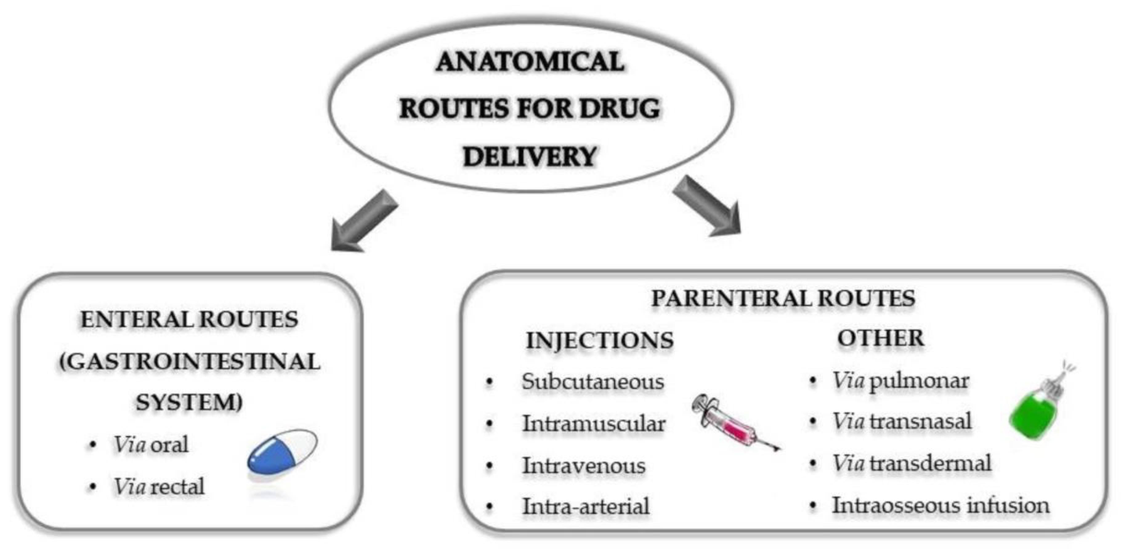 Nanomaterials 10 01403 g001 Nanomaterials 10 01403 g001