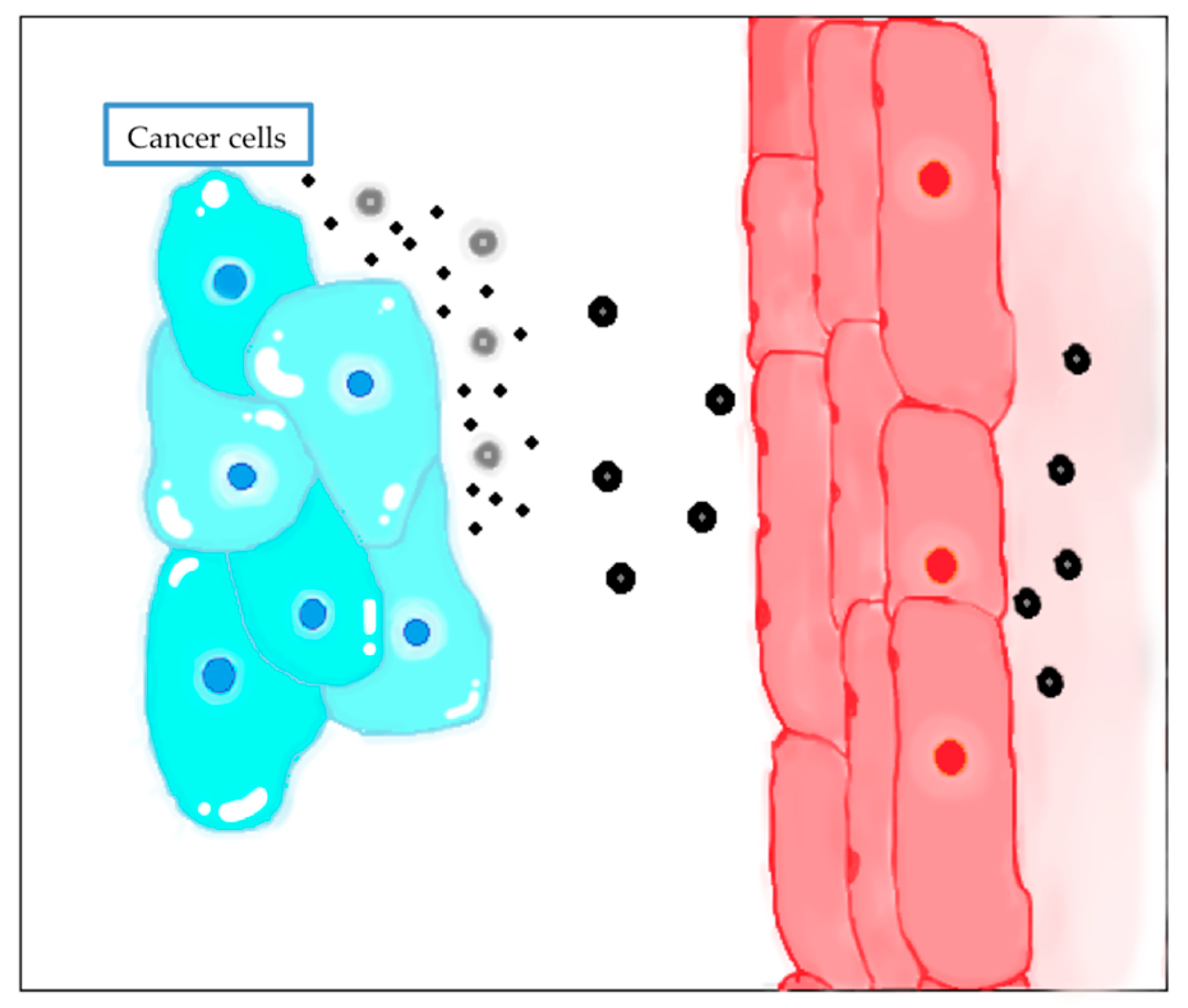 Nanomaterials 10 01403 g003 Nanomaterials 10 01403 g003