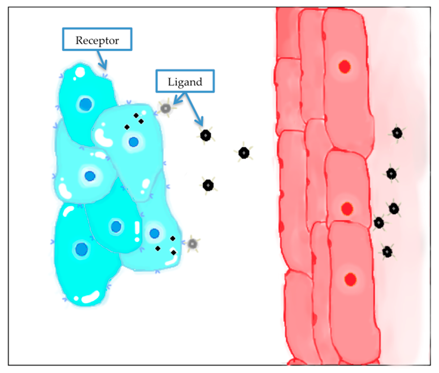 Nanomaterials 10 01403 g004 Nanomaterials 10 01403 g004