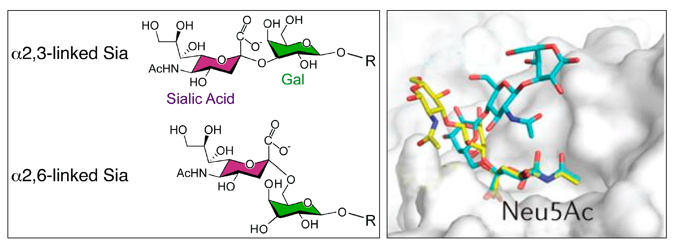 Nanomaterials 10 01406 g001