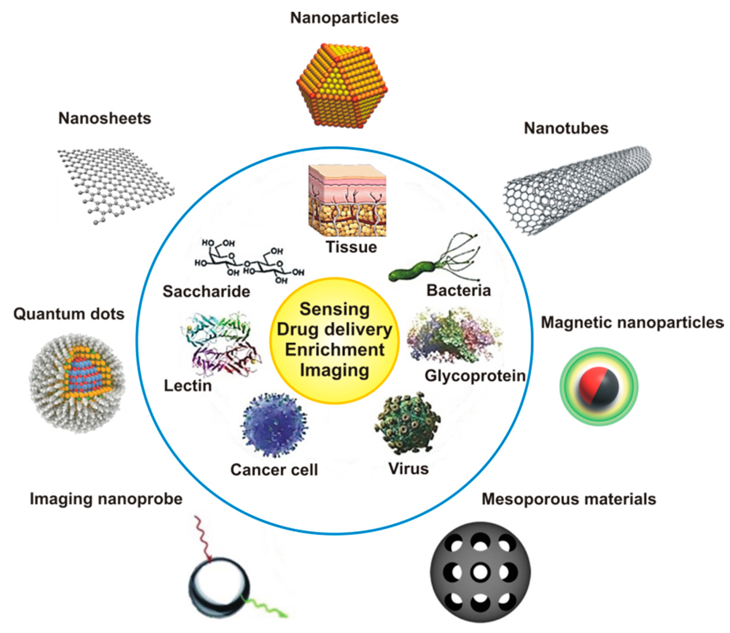 Nanomaterials 10 01406 g002