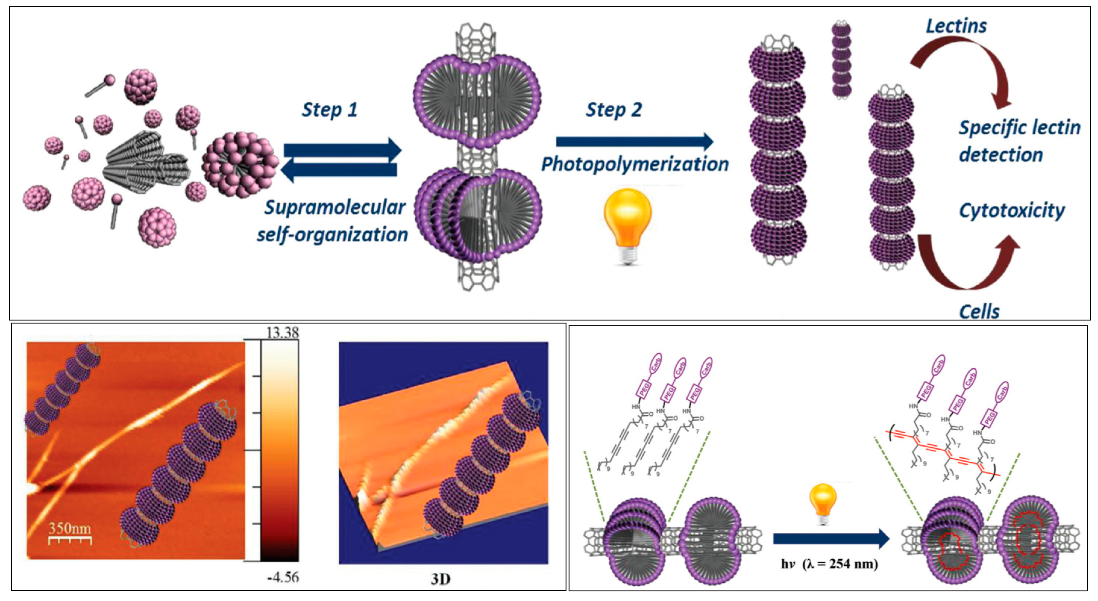 Nanomaterials 10 01406 g004