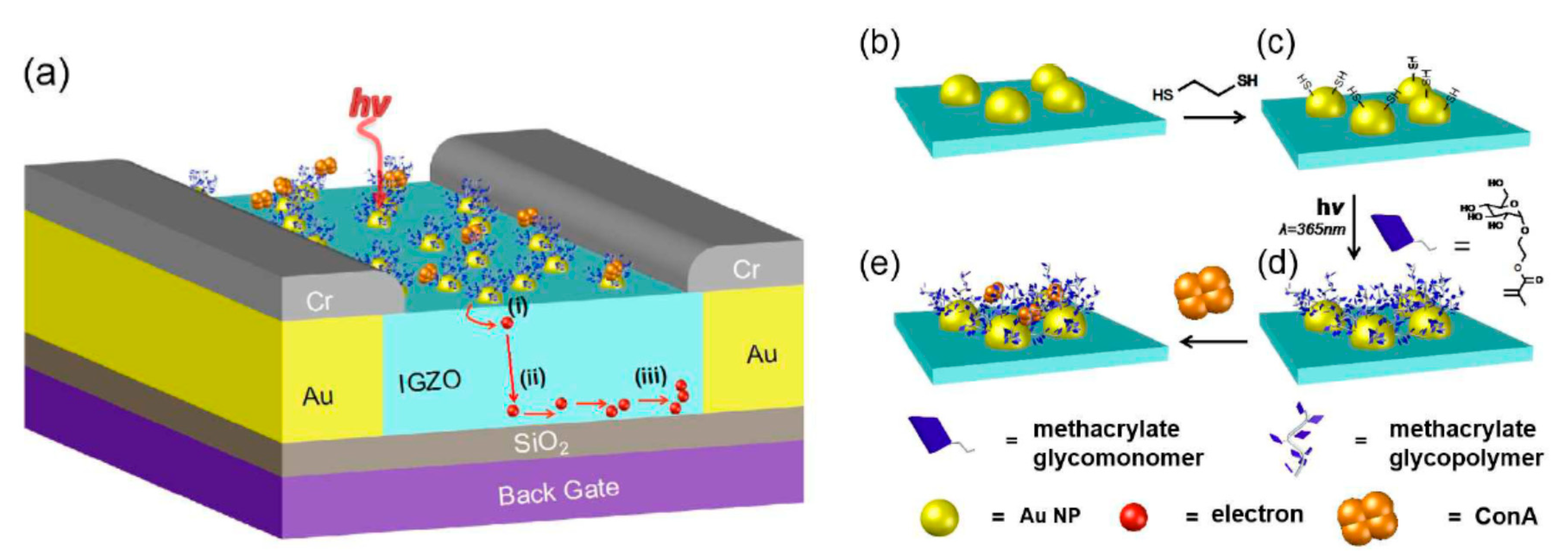 Nanomaterials 10 01406 g008