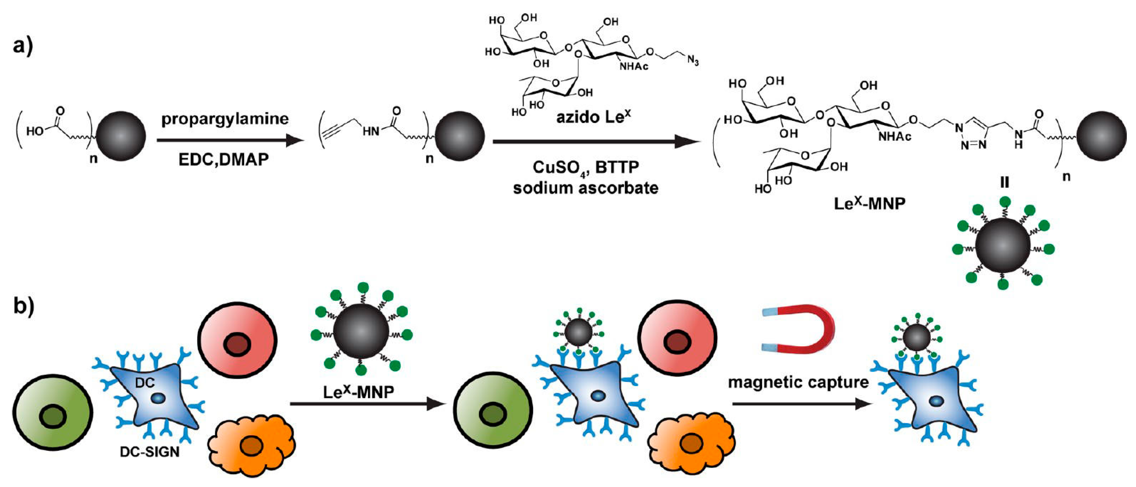 Nanomaterials 10 01406 g010