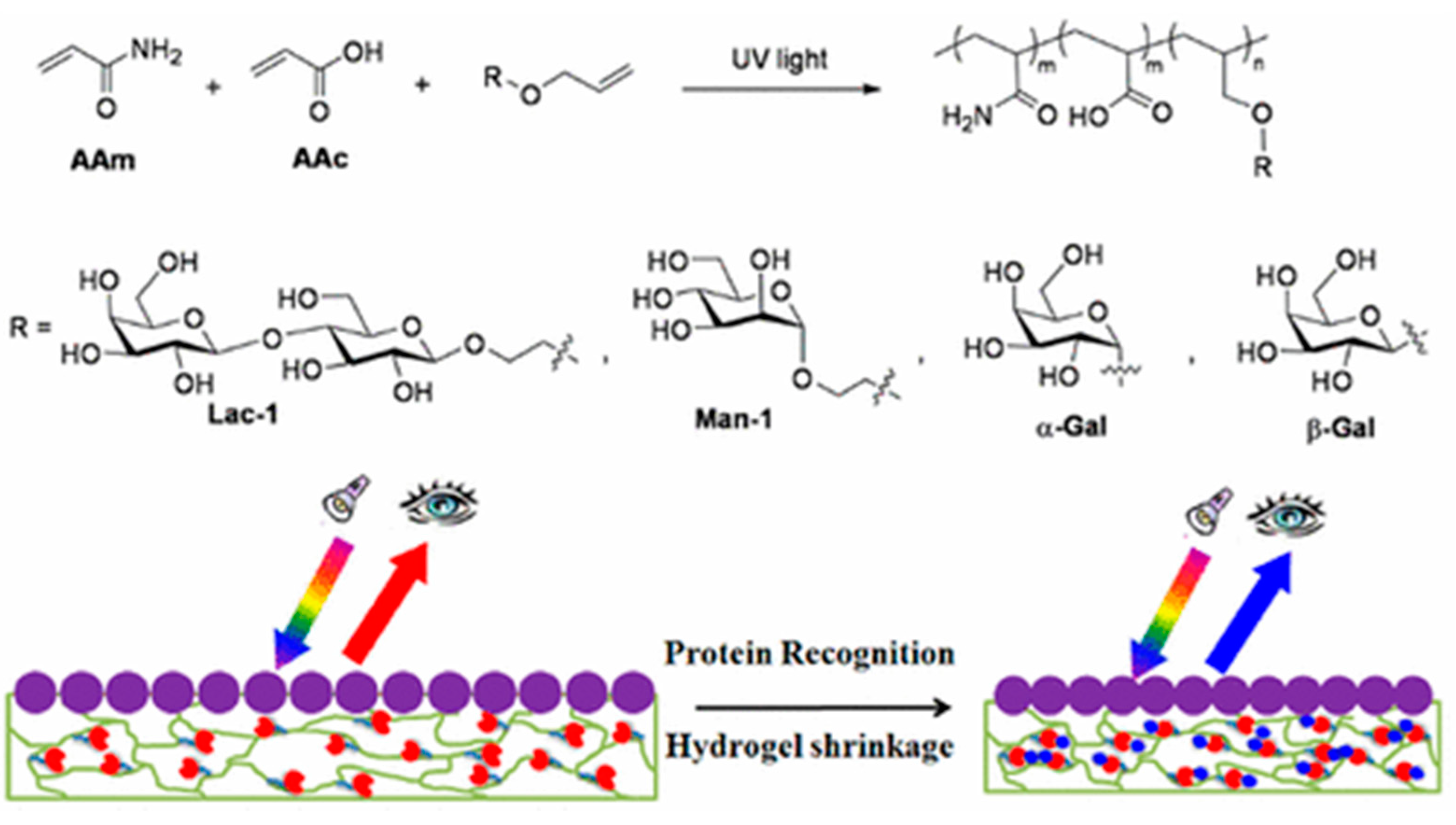 Nanomaterials 10 01406 g013