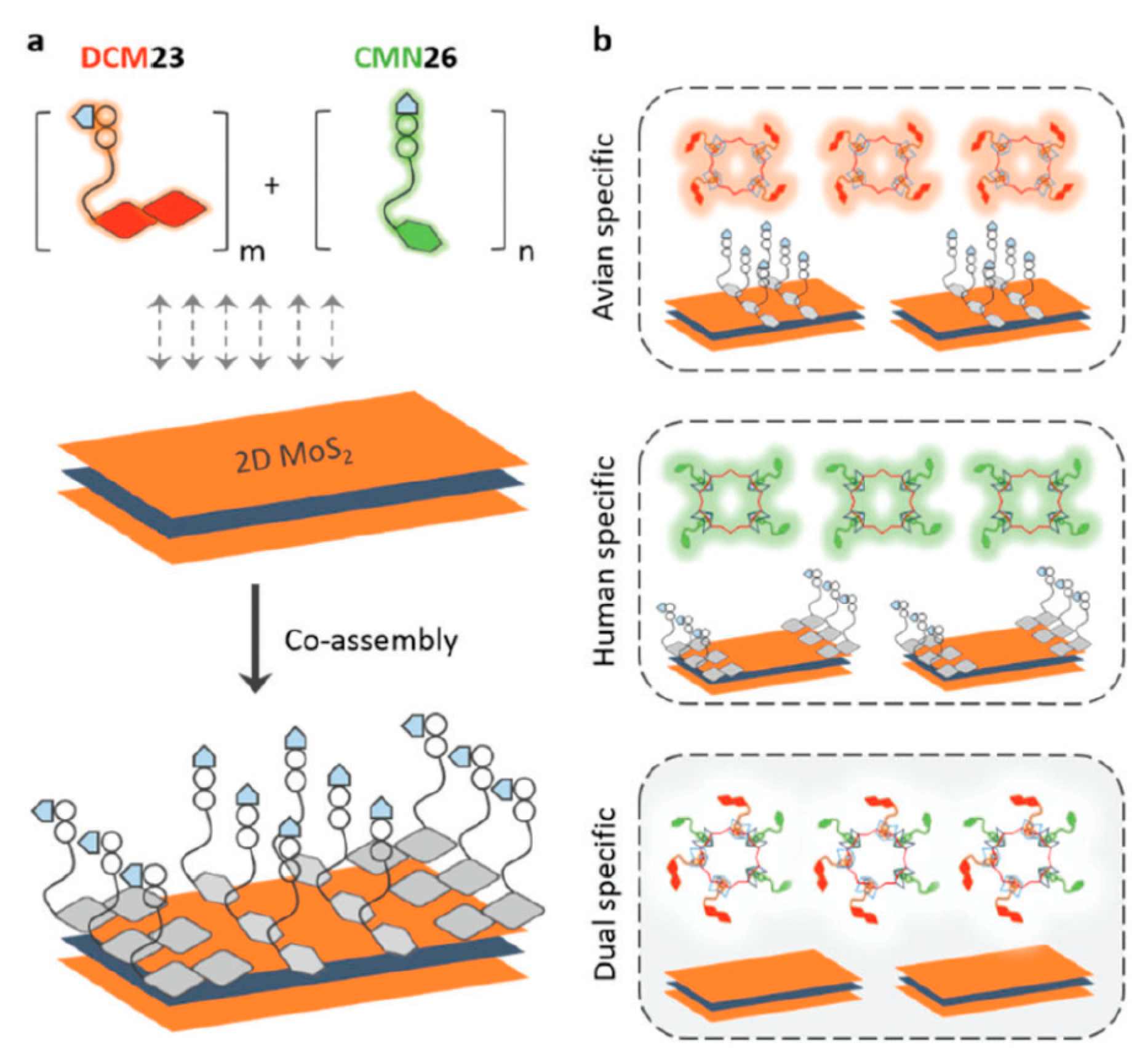 Nanomaterials 10 01406 g014