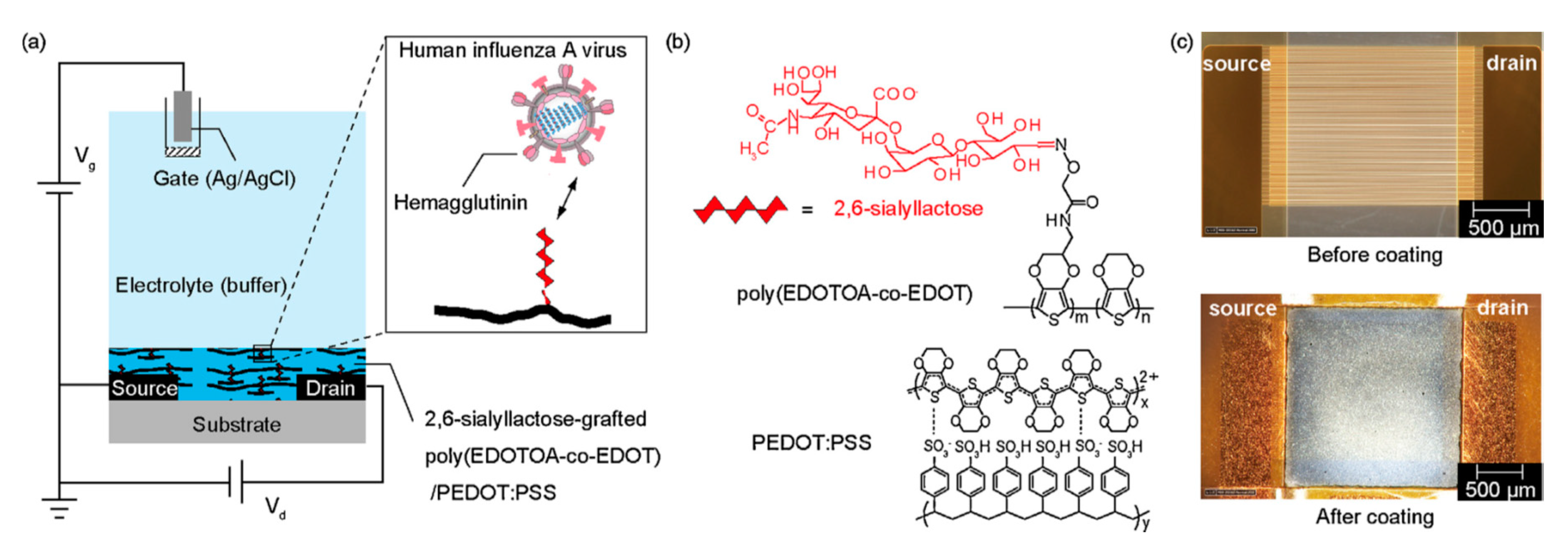 Nanomaterials 10 01406 g016