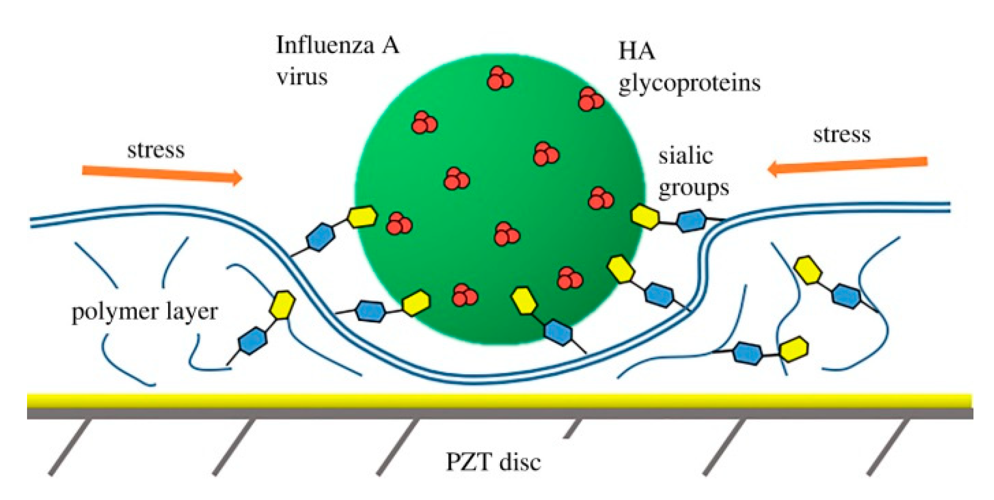 Nanomaterials 10 01406 g018