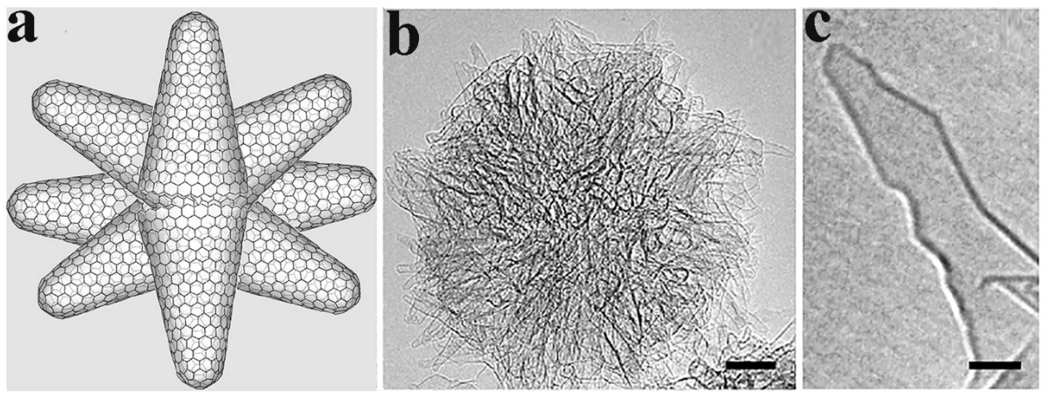 Nanomaterials 10 01407 g001 Nanomaterials 10 01407 g001