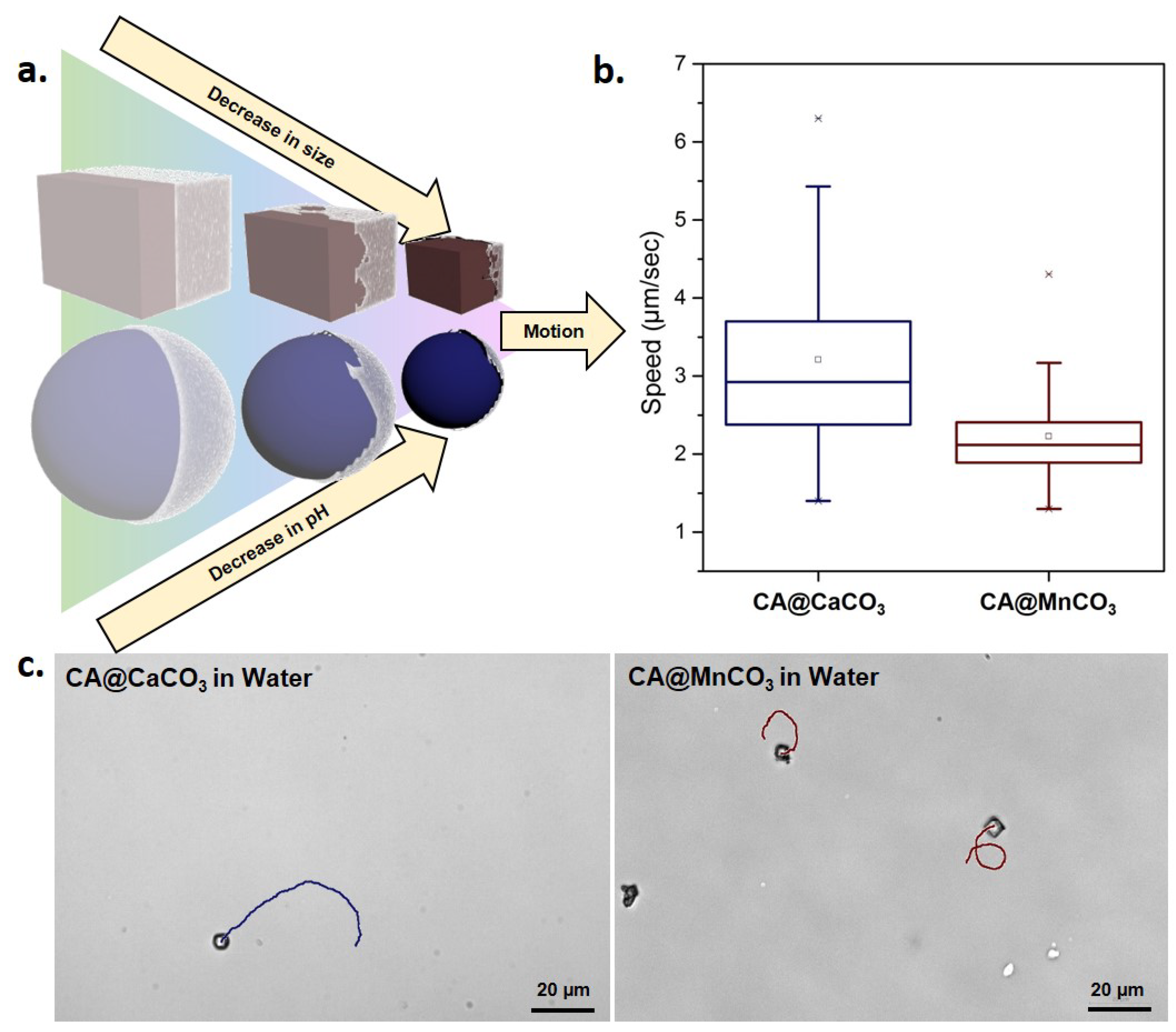 Nanomaterials 10 01408 g003