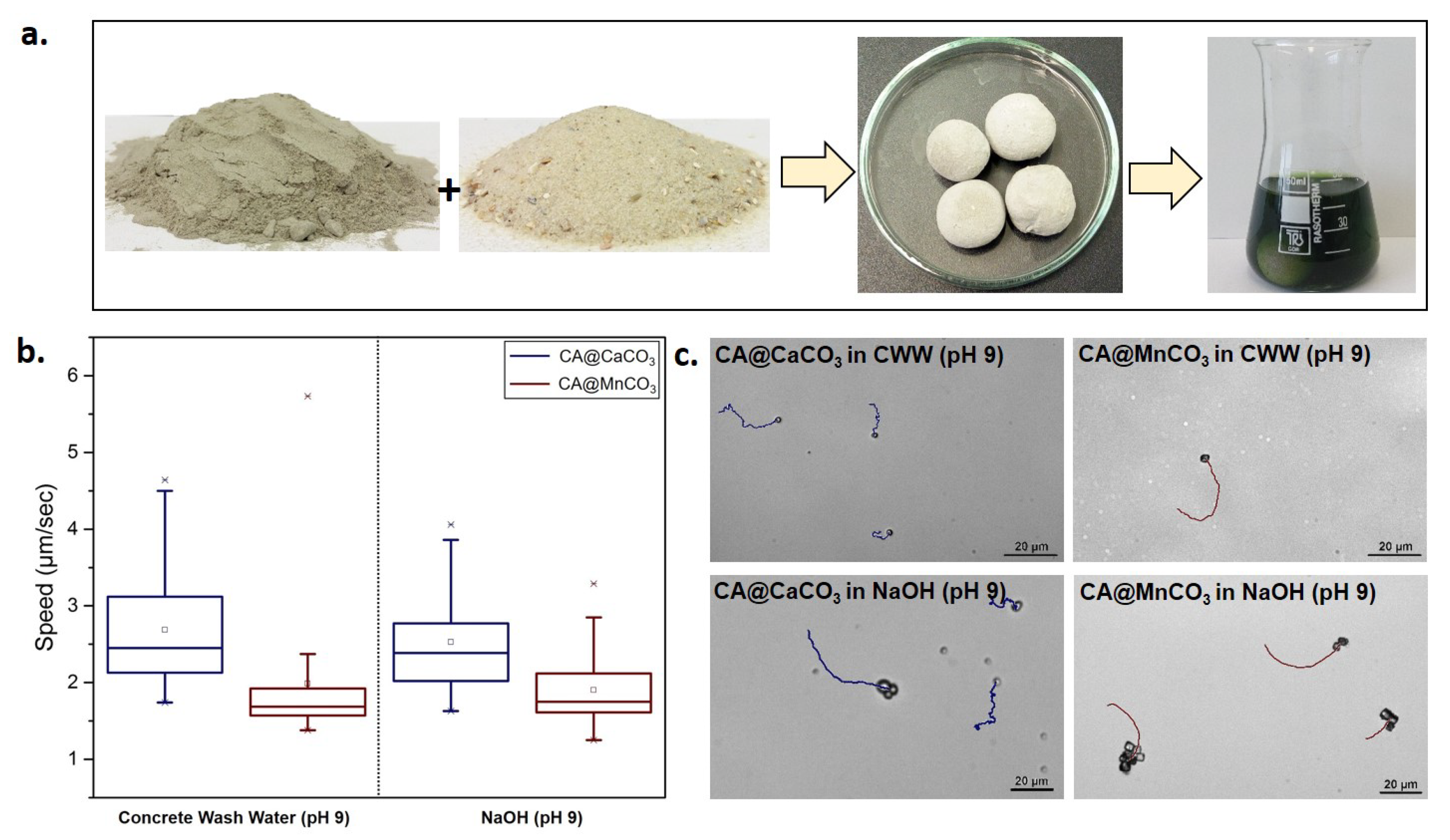 Nanomaterials 10 01408 g004