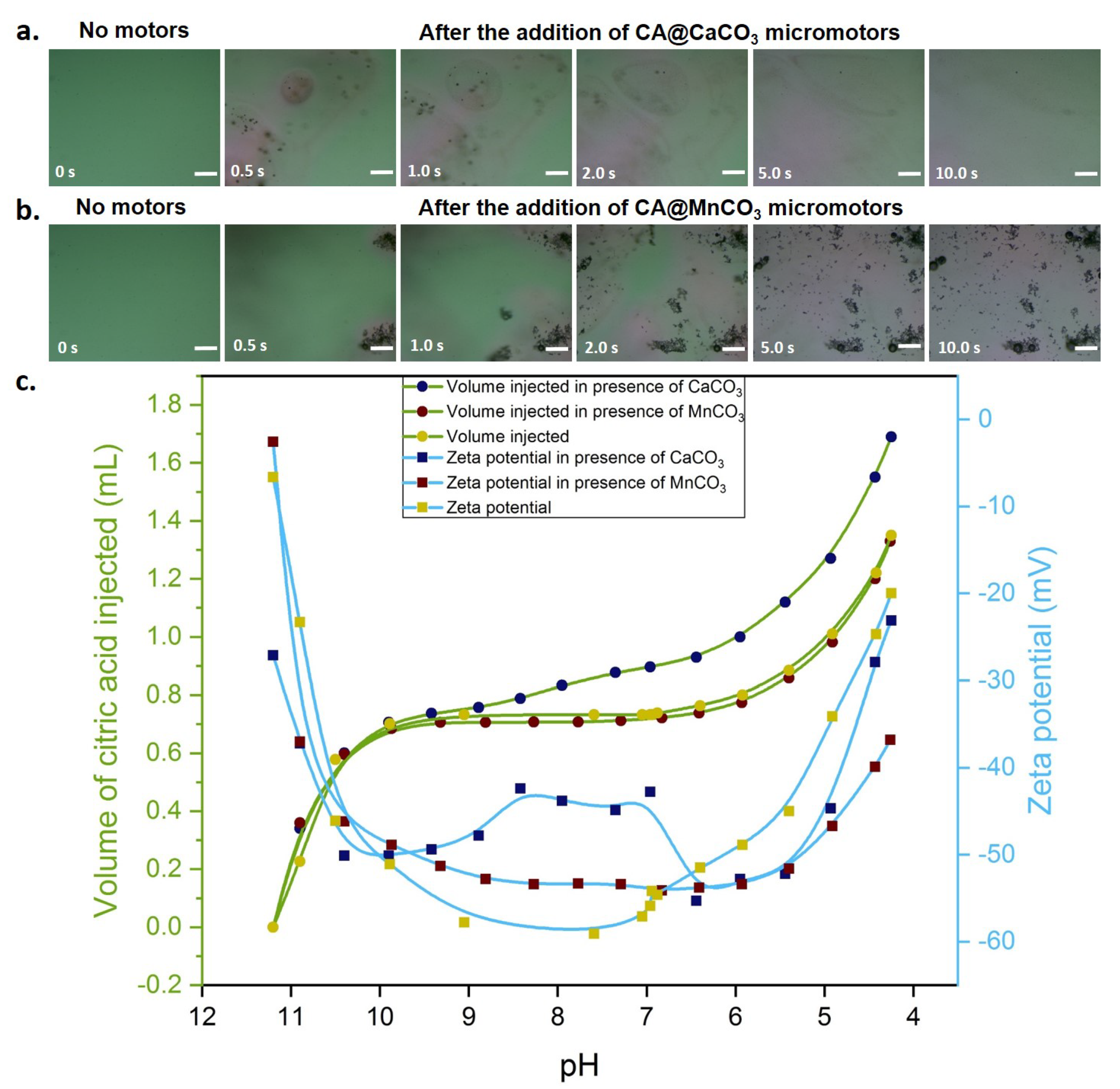 Nanomaterials 10 01408 g006