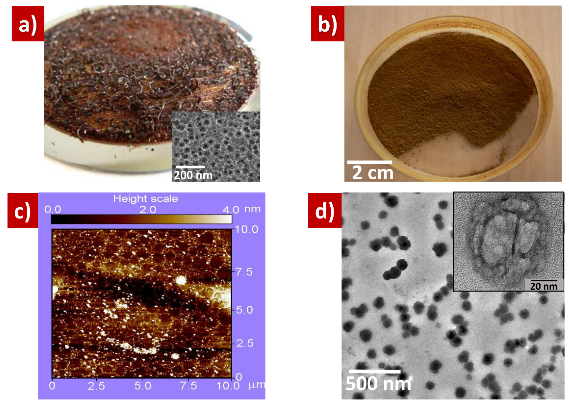 Nanomaterials 10 01413 g003