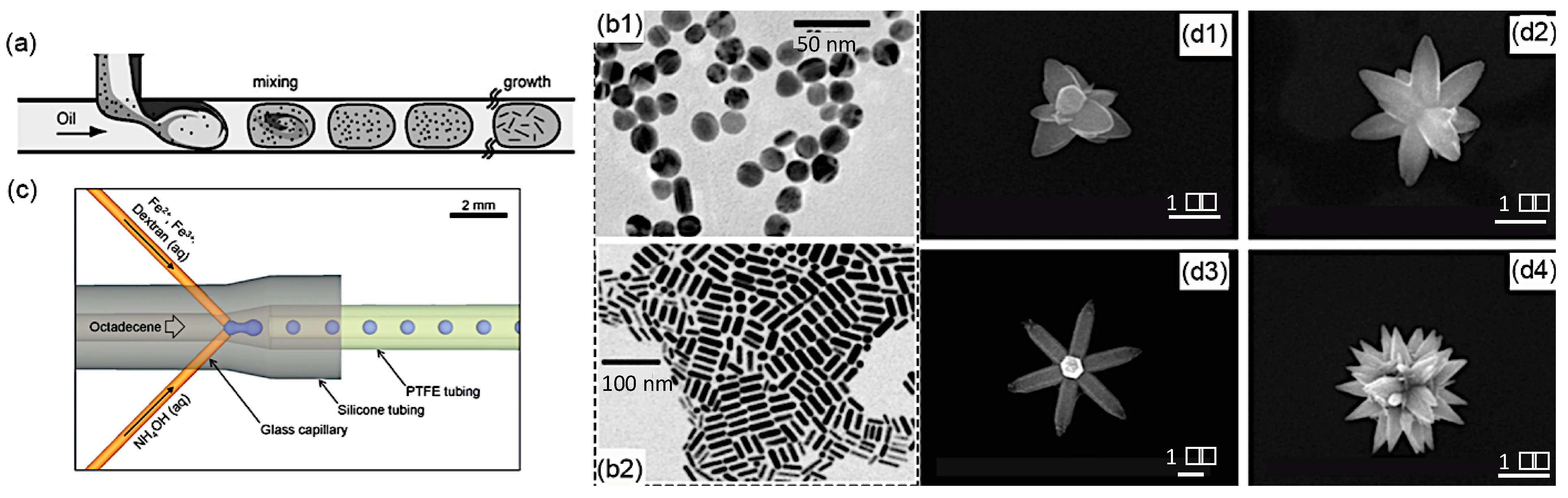 Nanomaterials 10 01421 g007 Nanomaterials 10 01421 g007