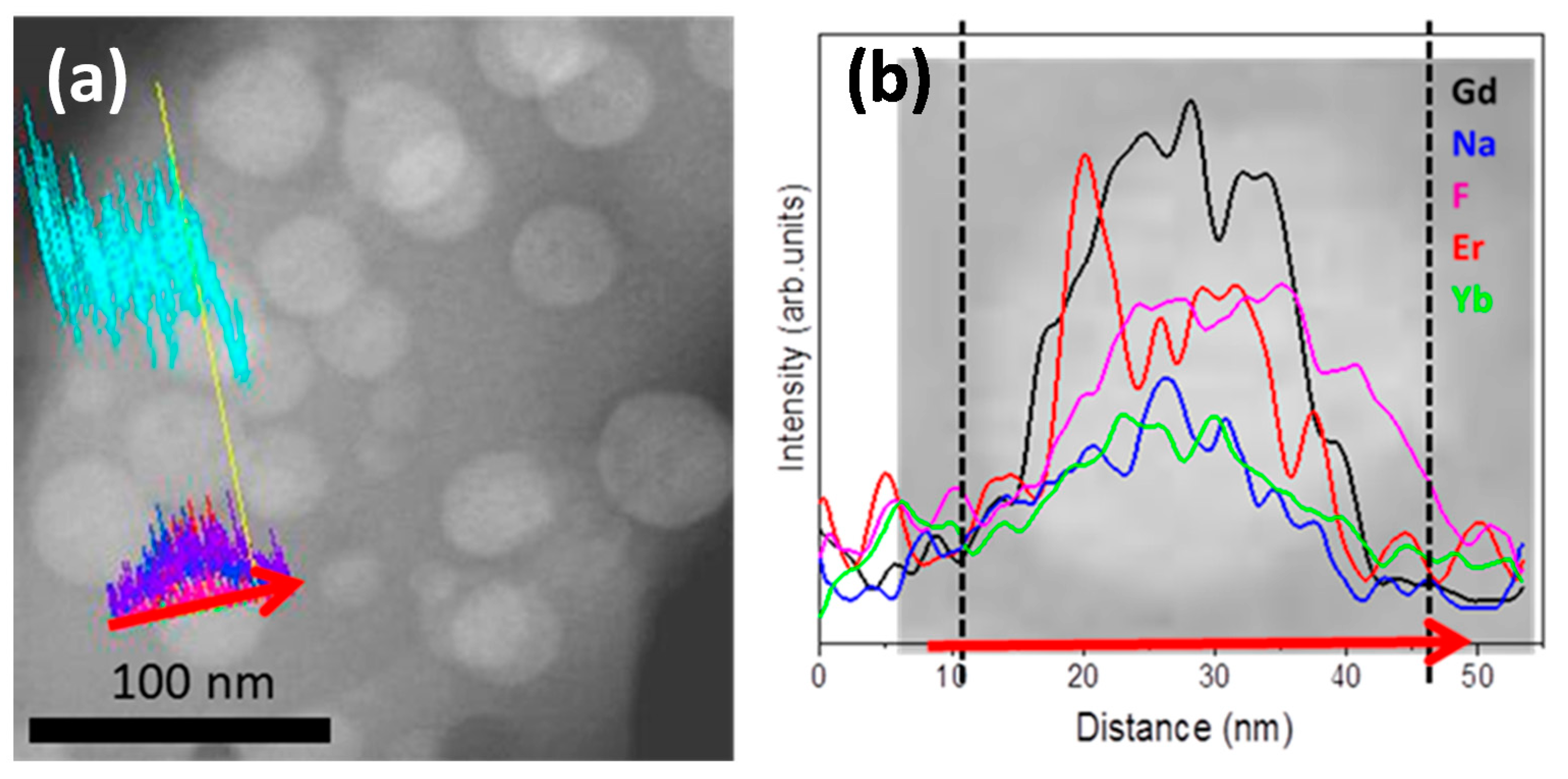 Nanomaterials 10 01425 g004 Nanomaterials 10 01425 g004