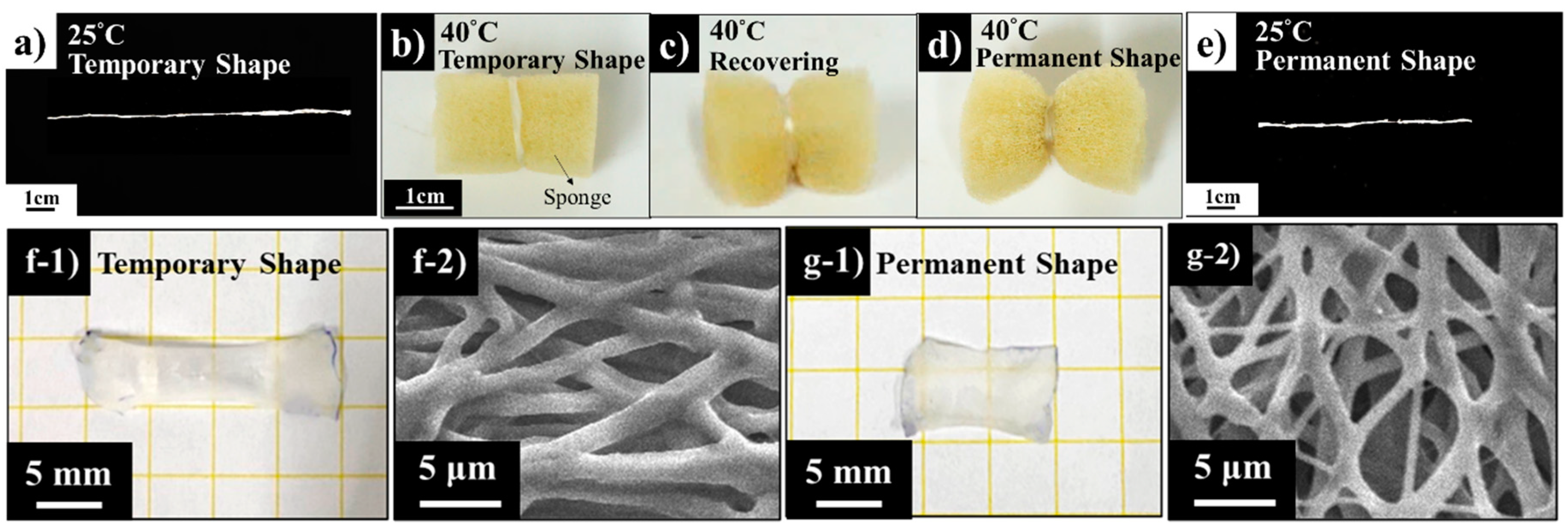 Nanomaterials 10 01427 g010 Nanomaterials 10 01427 g010