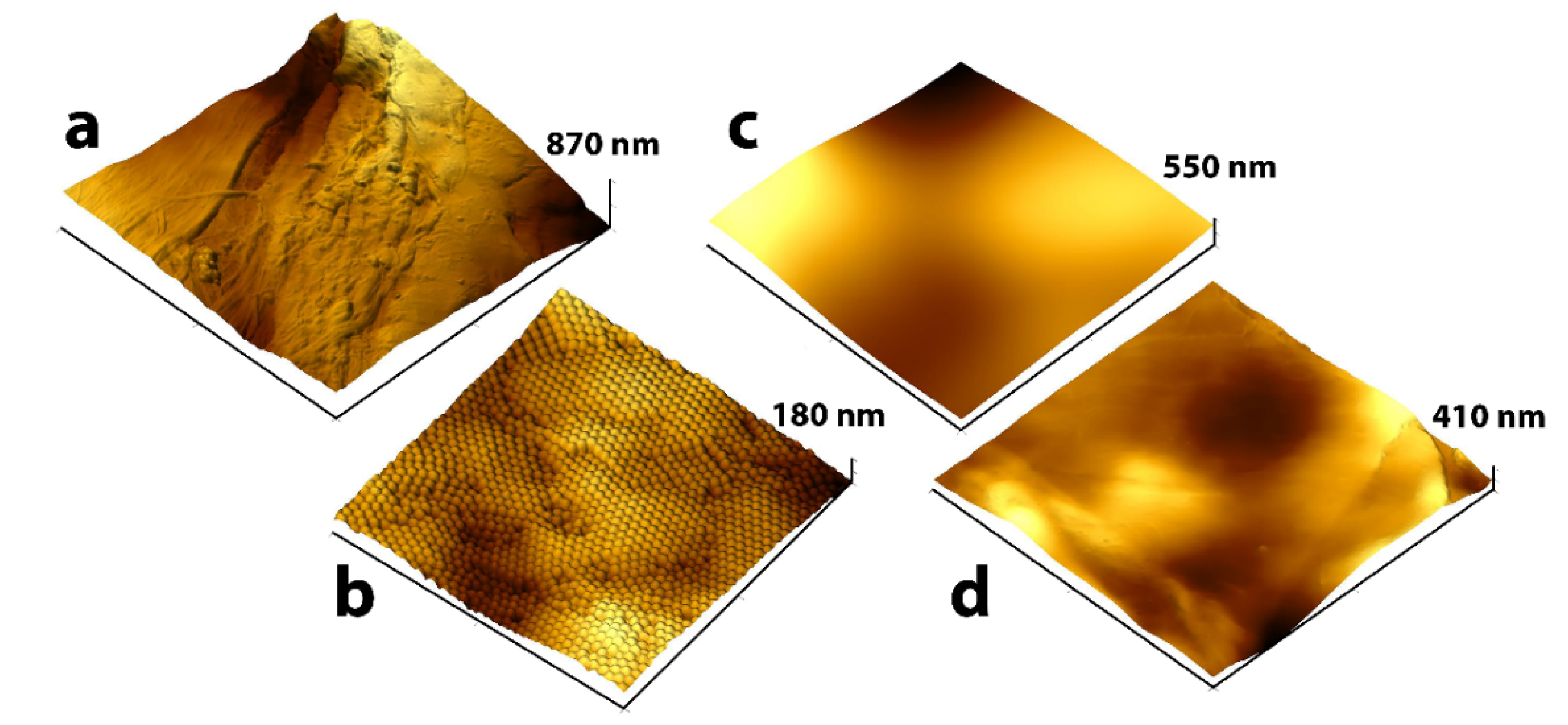 Nanomaterials 10 01436 g003 Nanomaterials 10 01436 g003