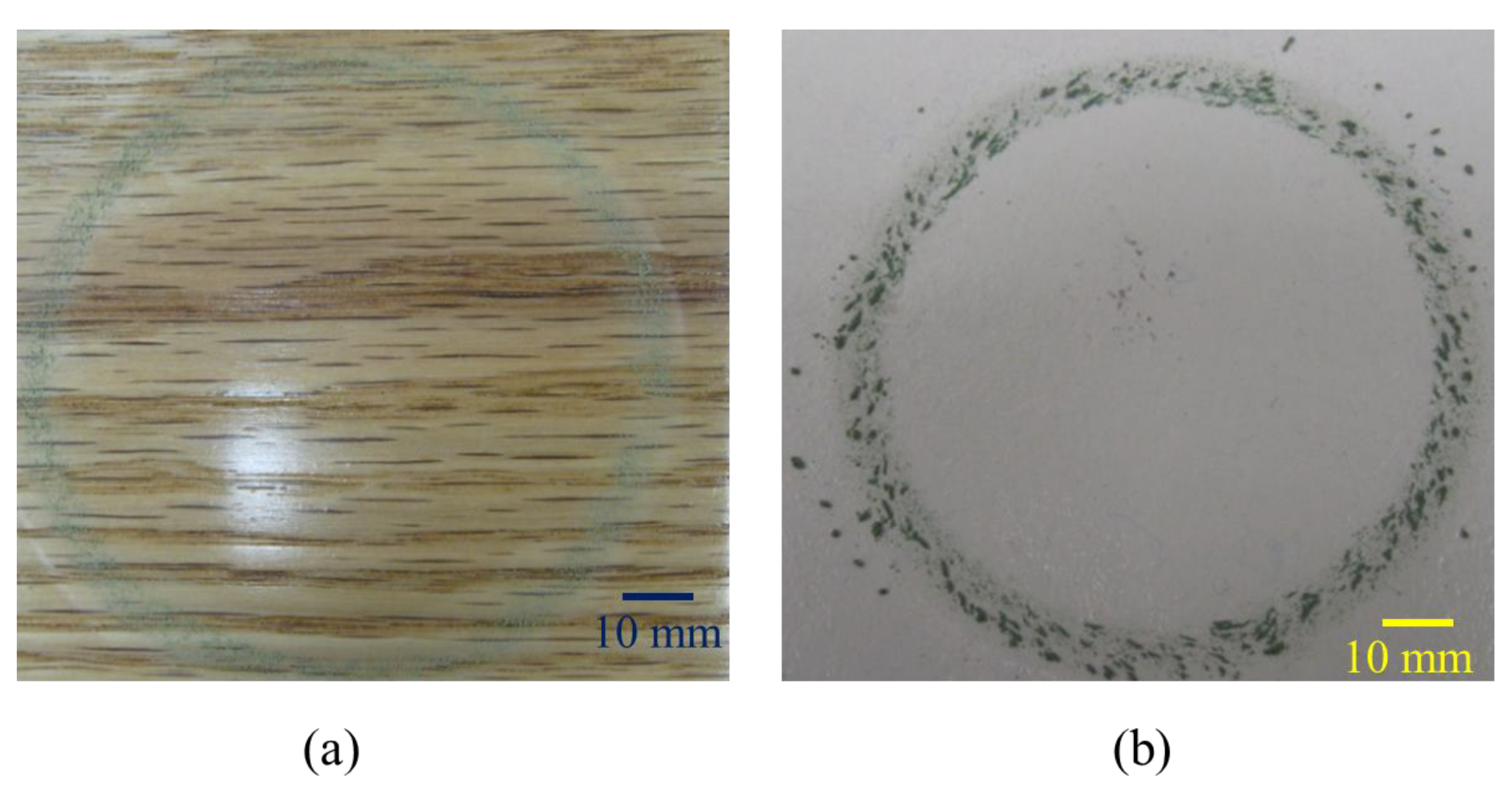 Nanomaterials 10 01445 g005