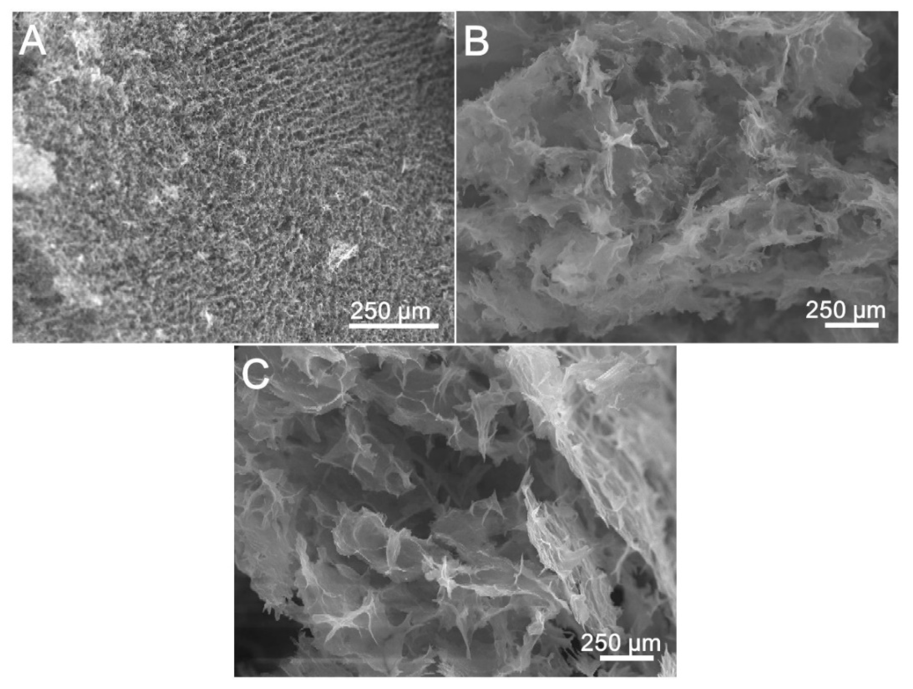 Nanomaterials 10 01446 g004