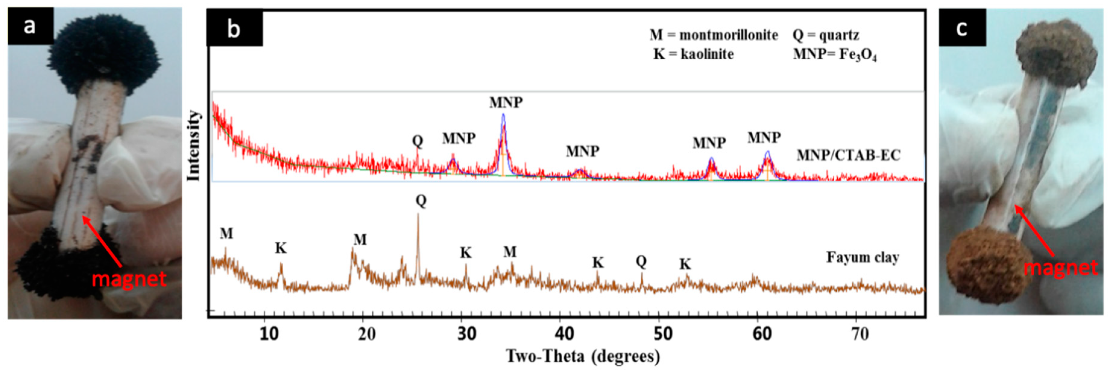Nanomaterials 10 01454 g001