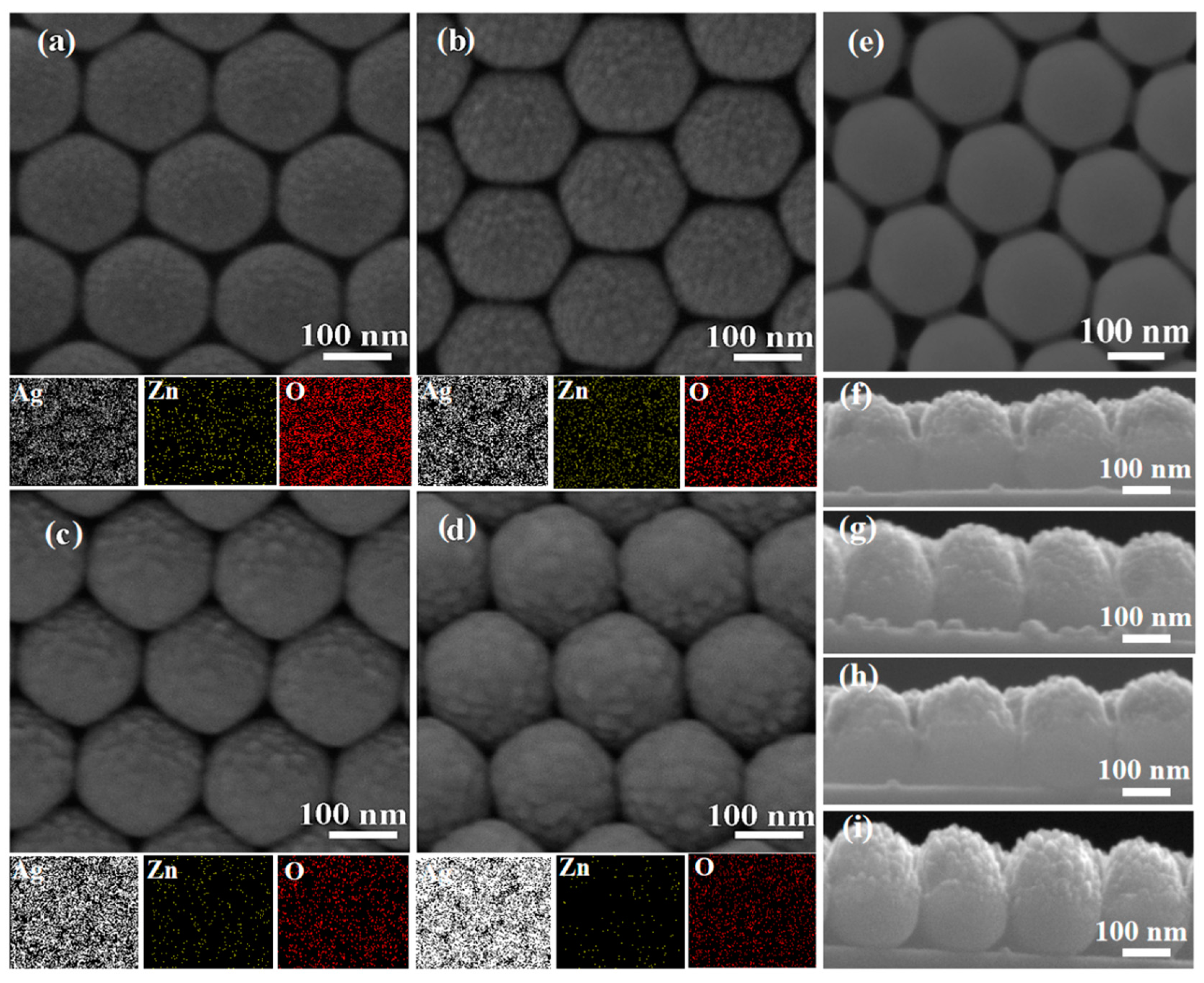 Nanomaterials 10 01455 g001