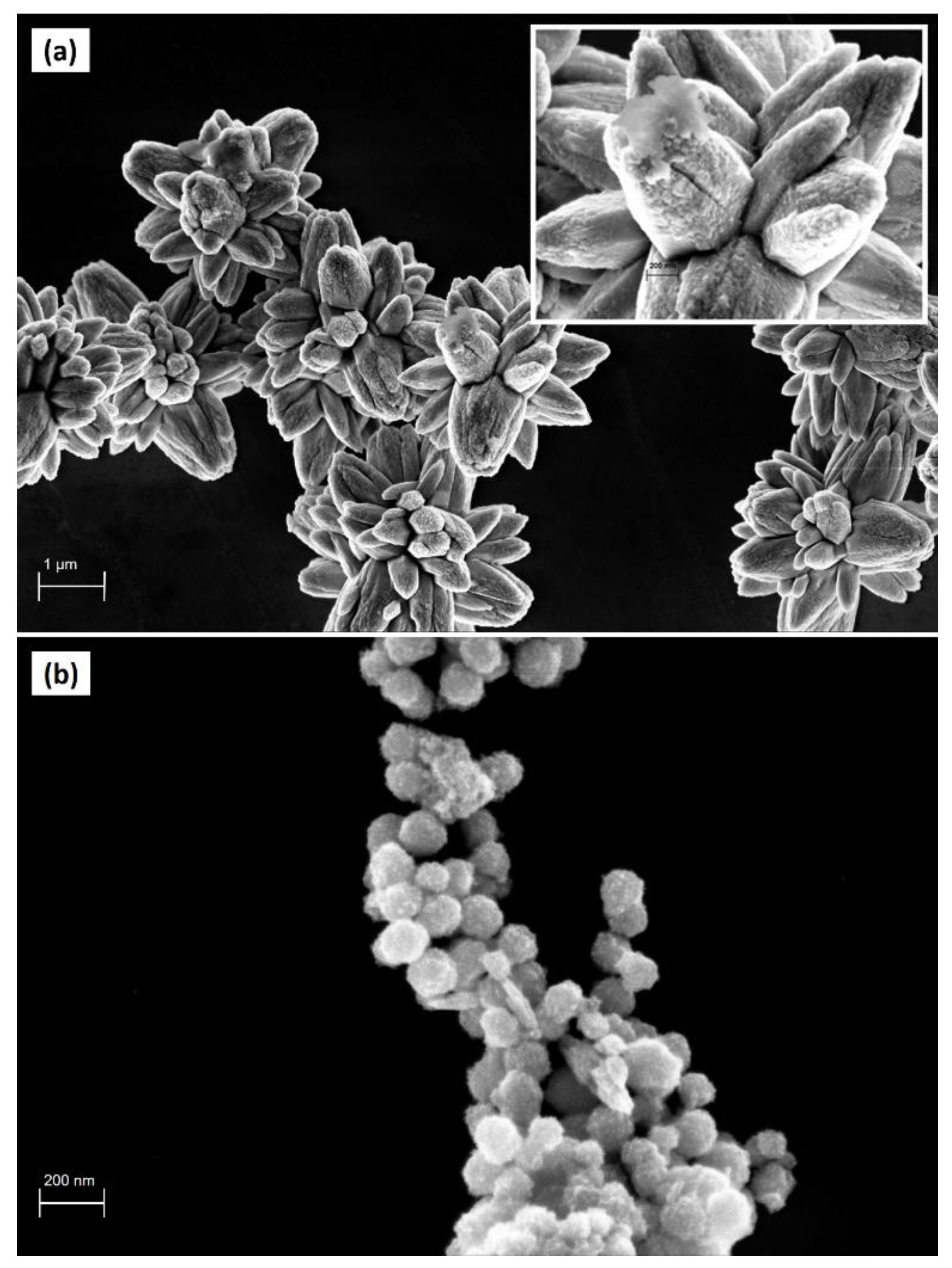 Nanomaterials 10 01458 g002