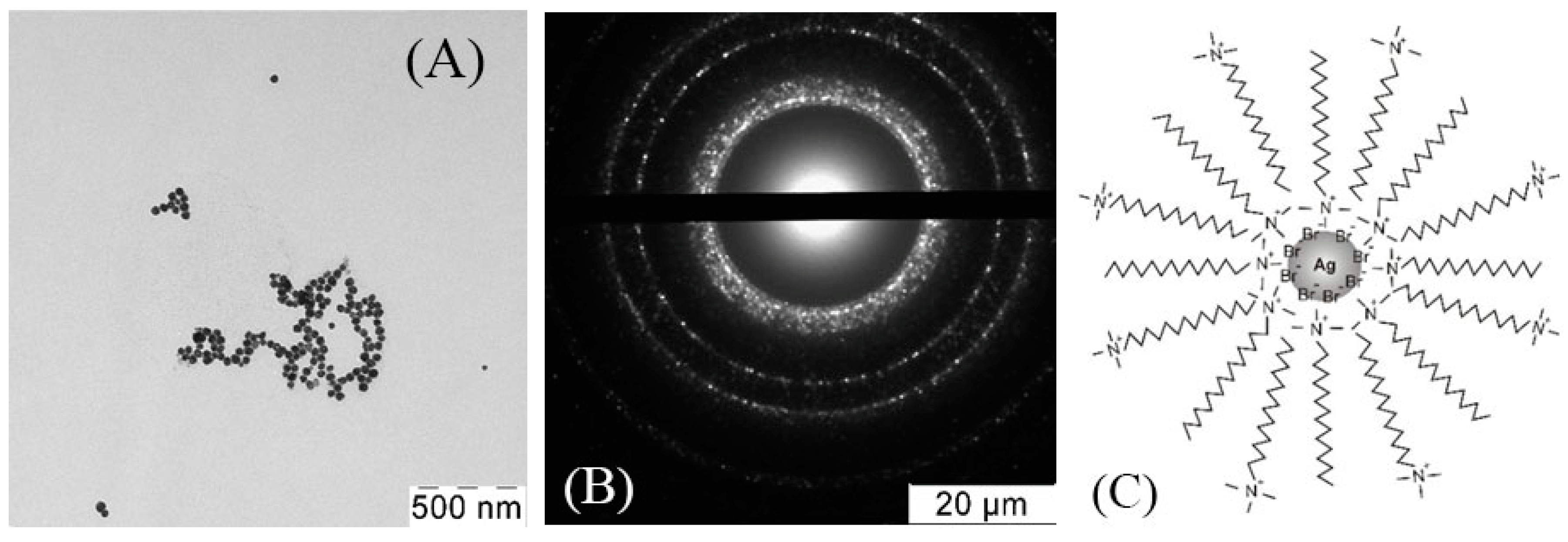 Nanomaterials 10 01459 g002a Nanomaterials 10 01459 g002a