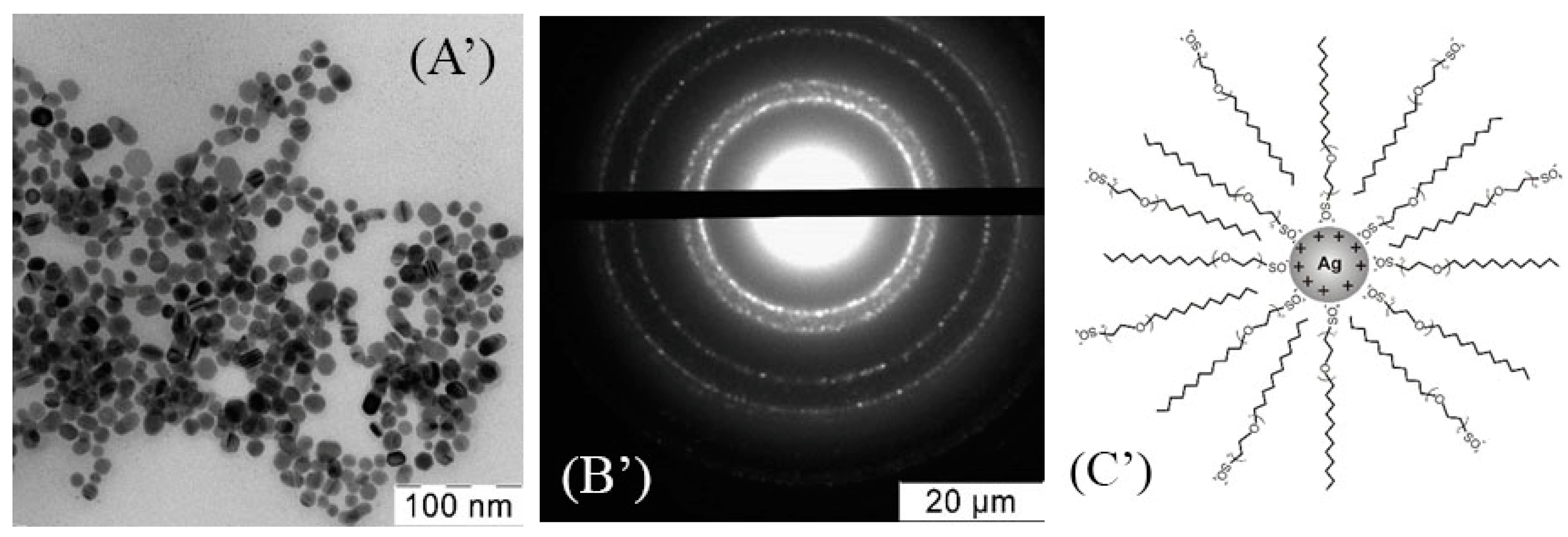 Nanomaterials 10 01459 g002b Nanomaterials 10 01459 g002b