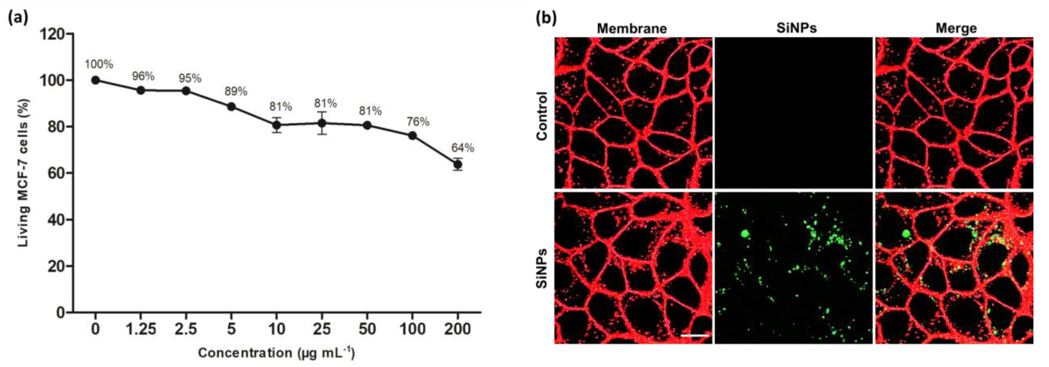 Nanomaterials 10 01462 g002 Nanomaterials 10 01462 g002